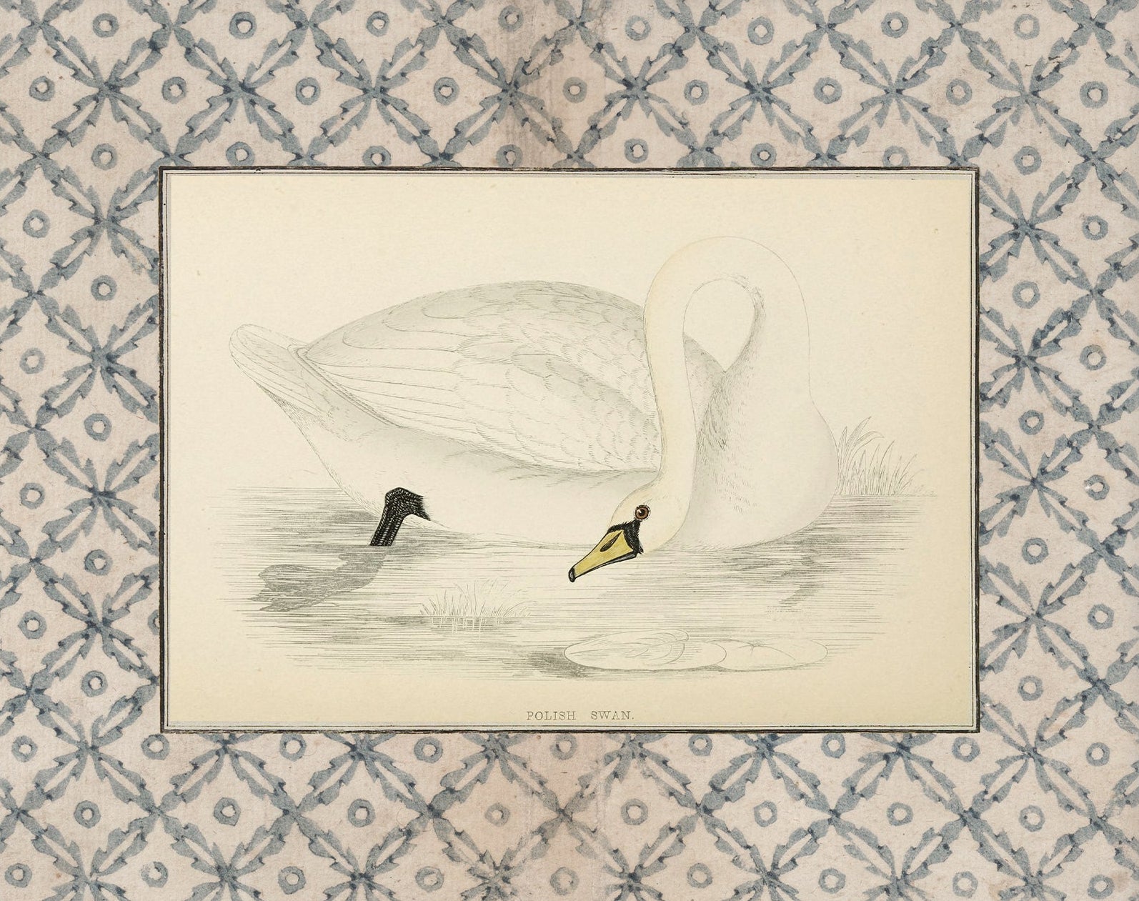 Vintage Swan Nursery Art Print 002 | Unframed