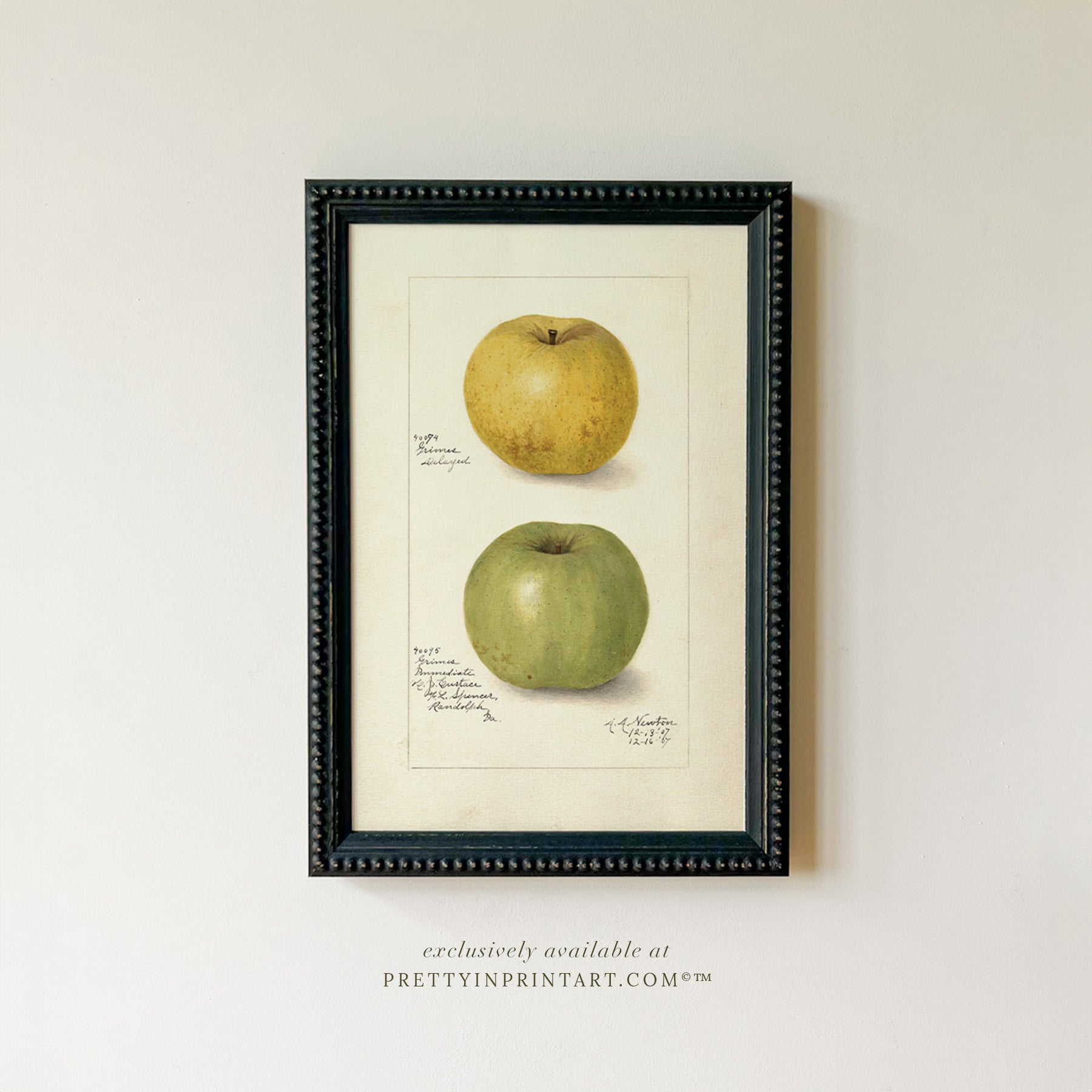 Black bobbin frame with vintage fruit botanical still life art for cottagecore, farmhouse, and traditional interiors
