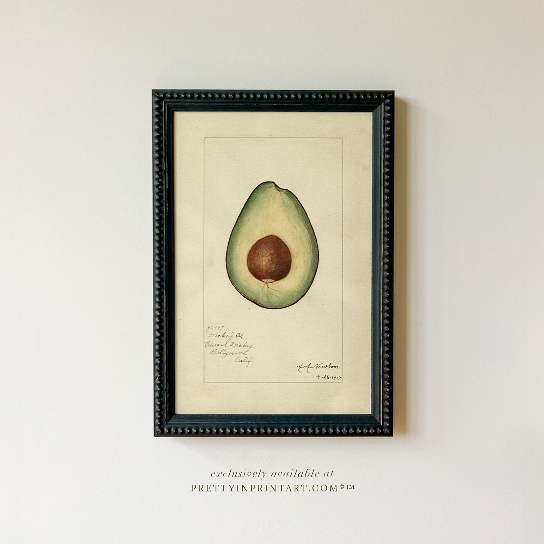 Black bobbin frame with vintage fruit botanical still life art for cottagecore, farmhouse, and traditional interiors