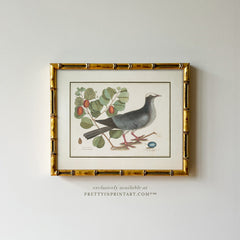 Vintage Bird Art Print 00912 in Gold Bamboo Frame