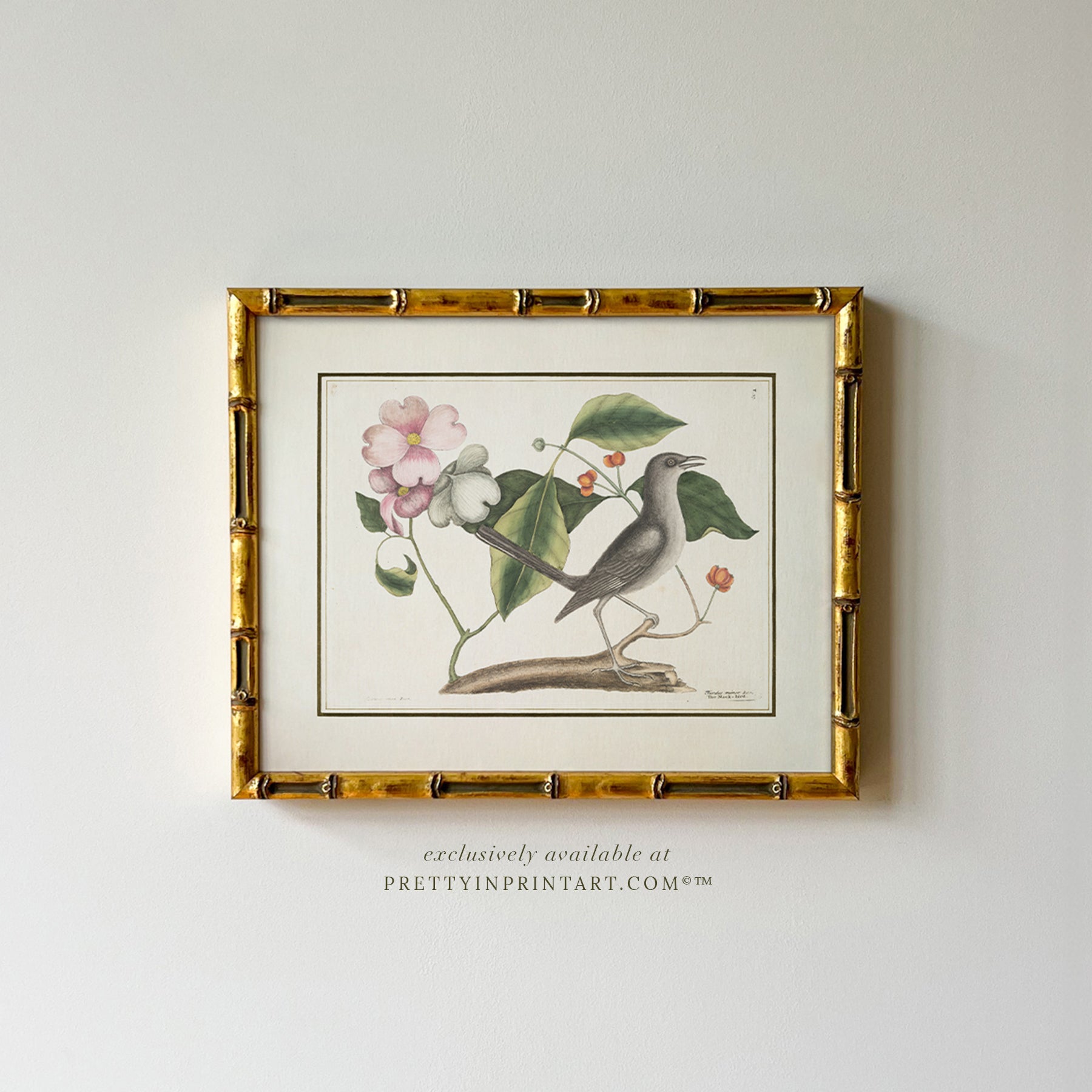 Set of Six Vintage Bird Art Print in Gold Bamboo Frame