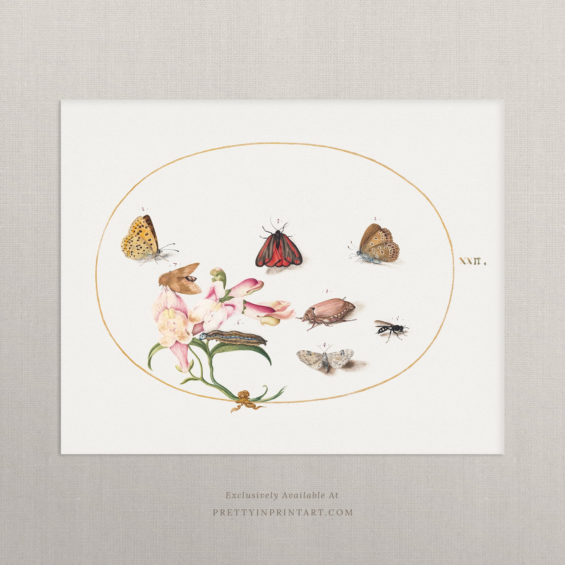 vintage-style nursery art prints featuring bugs, butterflies, beetles, and mini beasts in classic gold and wood frames for children's room decor.