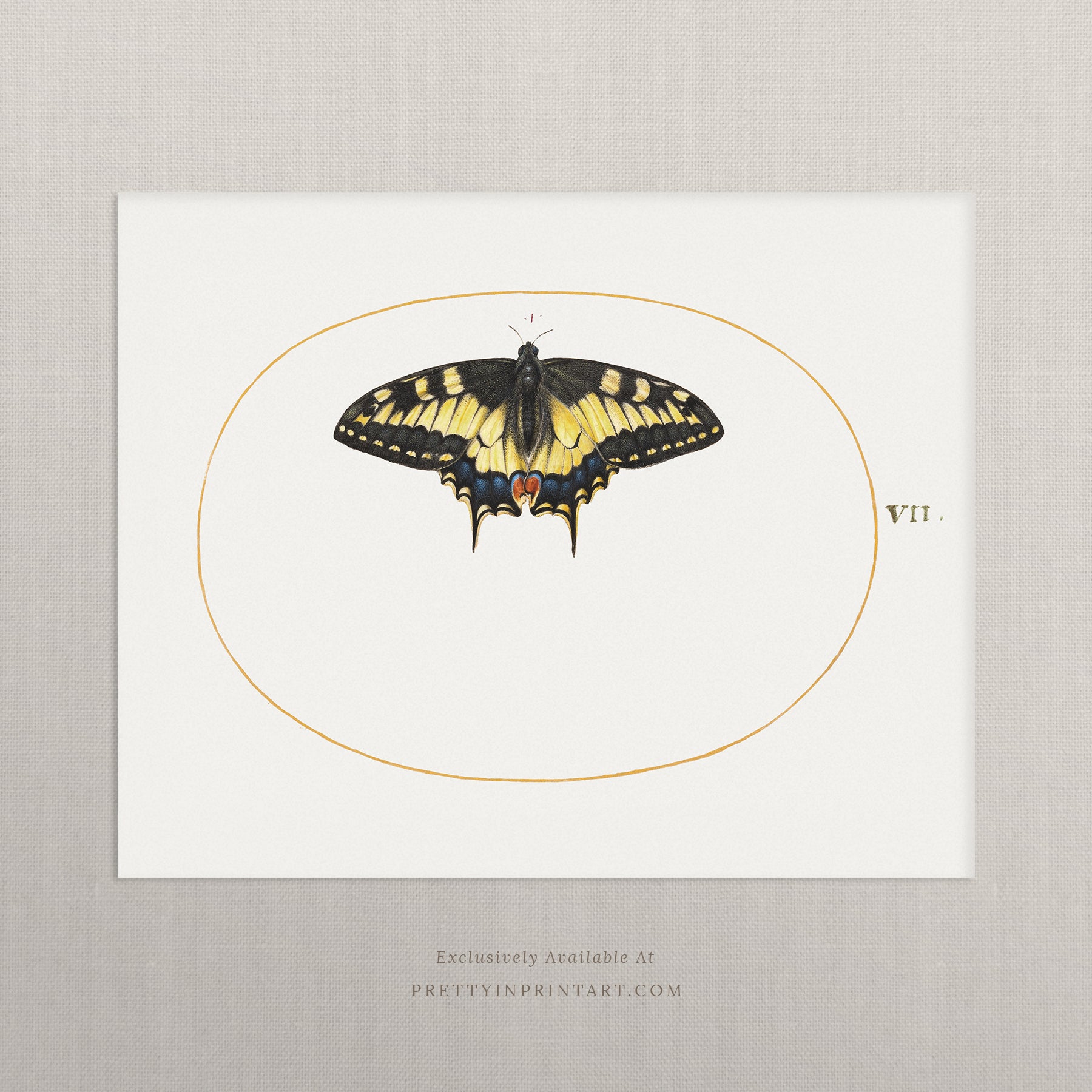 vintage-style nursery art prints featuring bugs, butterflies, beetles, and mini beasts in classic gold and wood frames for children's room decor.