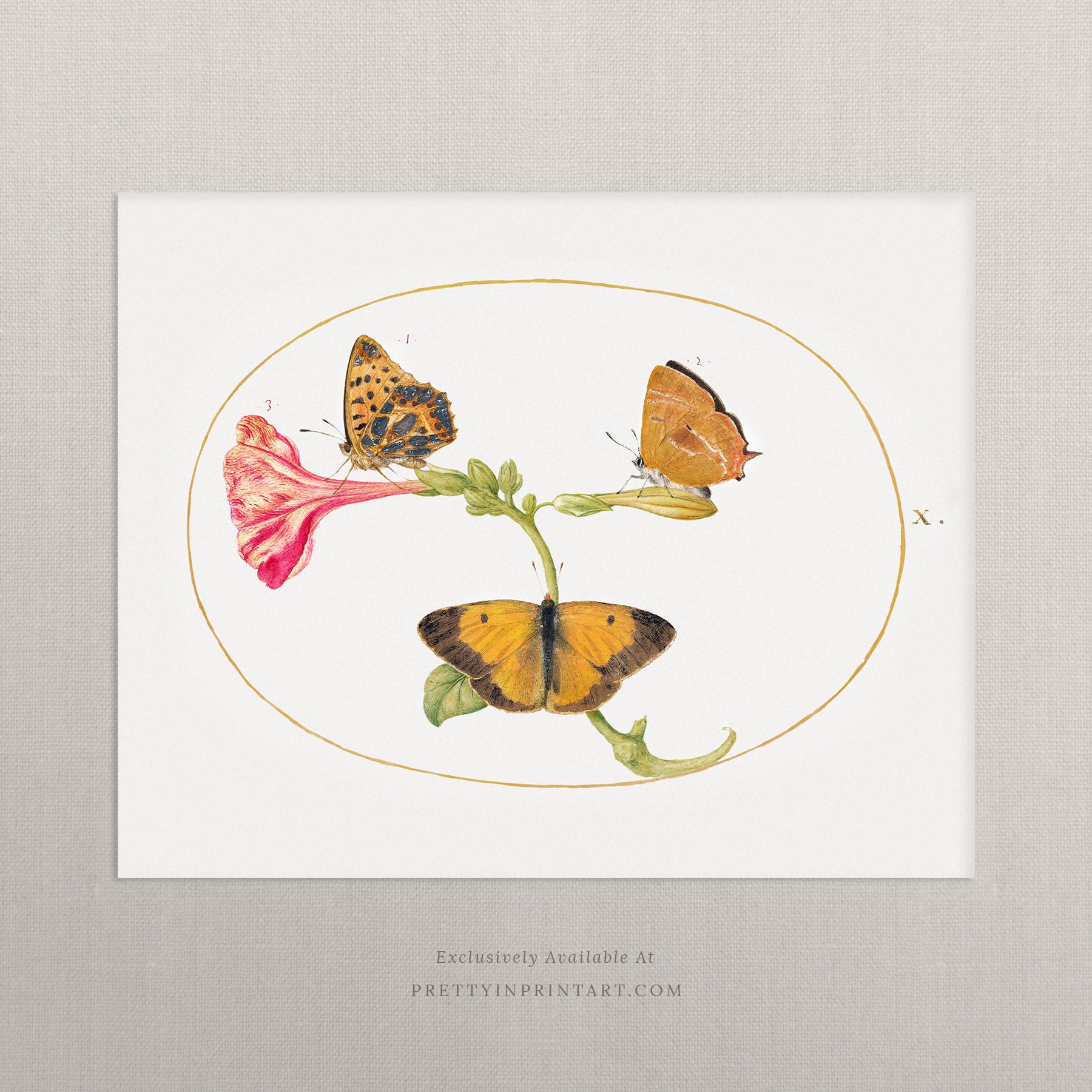 vintage-style nursery art prints featuring bugs, butterflies, beetles, and mini beasts in classic gold and wood frames for children's room decor.