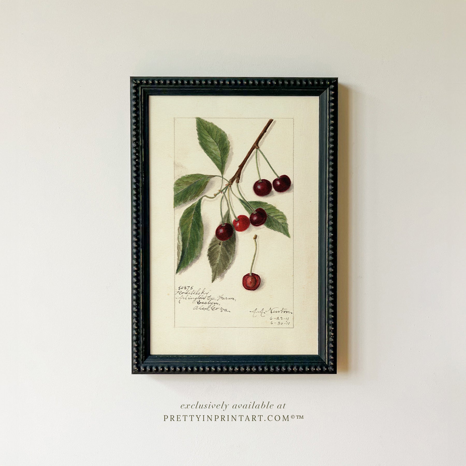 Black bobbin frame with vintage fruit botanical still life art for cottagecore, farmhouse, and traditional interiors
