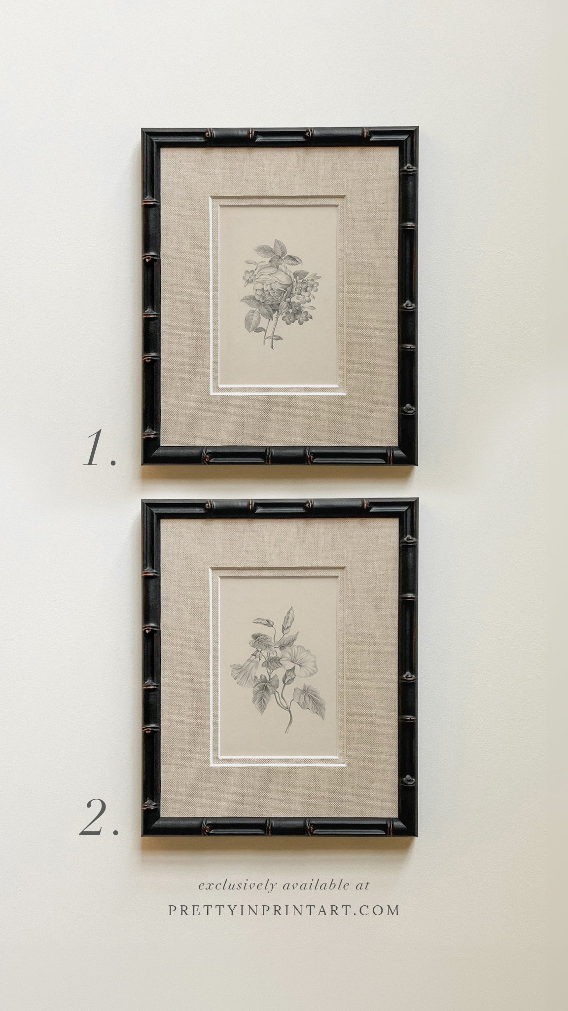 Framed & Mounted Vintage Flower Art 002 | 269