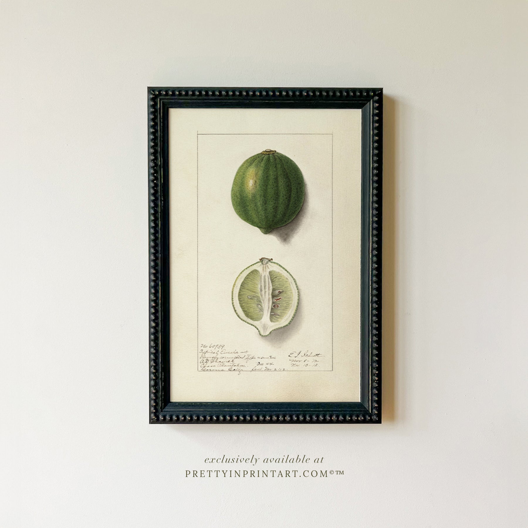 Black bobbin frame with vintage fruit botanical still life art for cottagecore, farmhouse, and traditional interiors