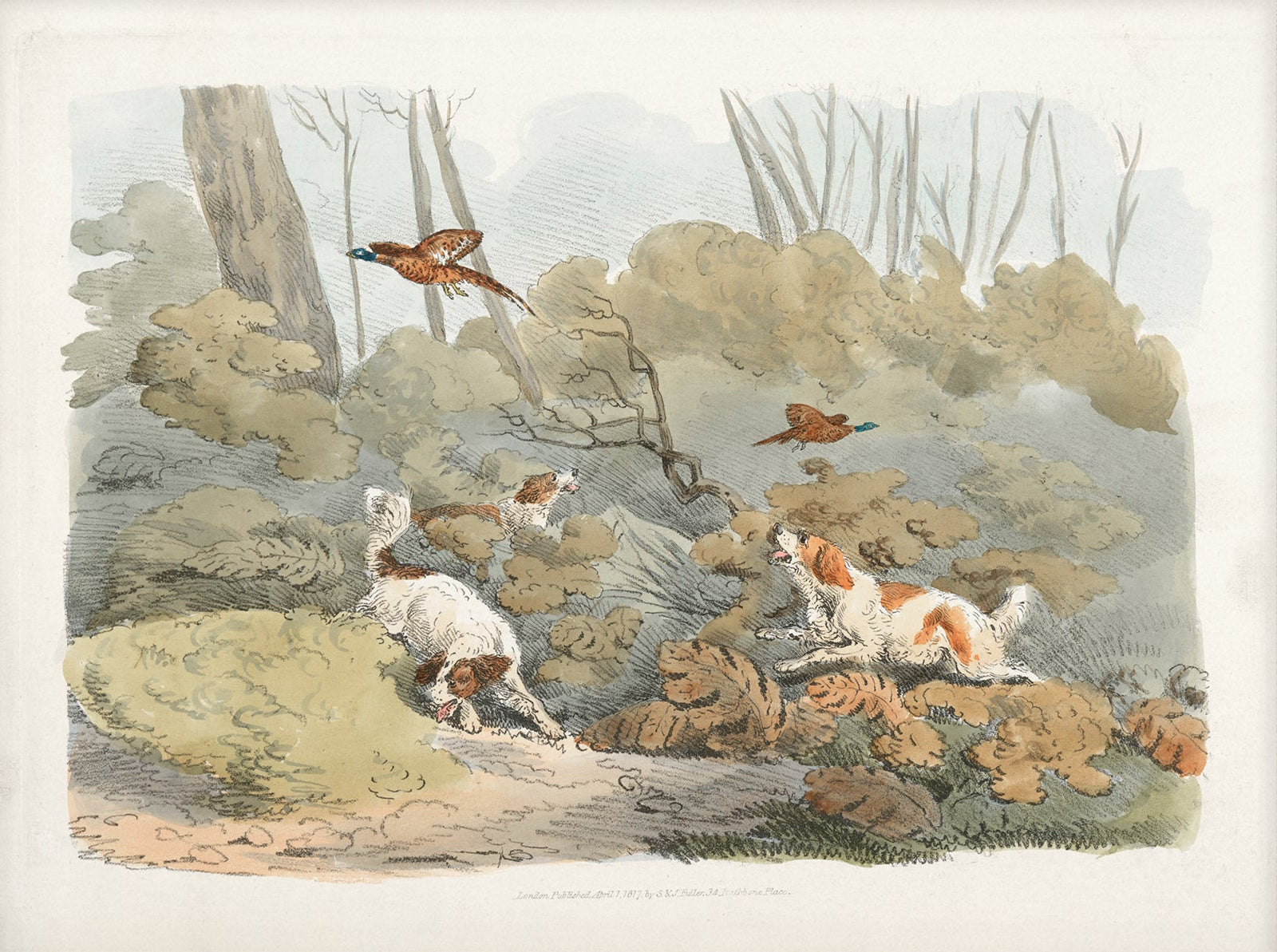Vintage Hunting Dog Art Print 002 | Unframed