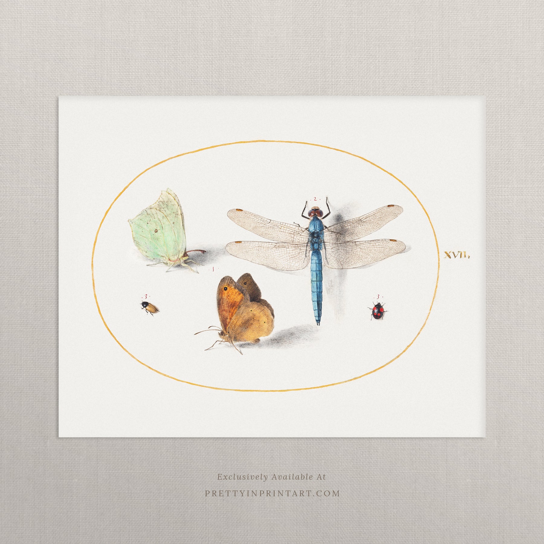 vintage-style nursery art prints featuring bugs, butterflies, beetles, and mini beasts in classic gold and wood frames for children's room decor.