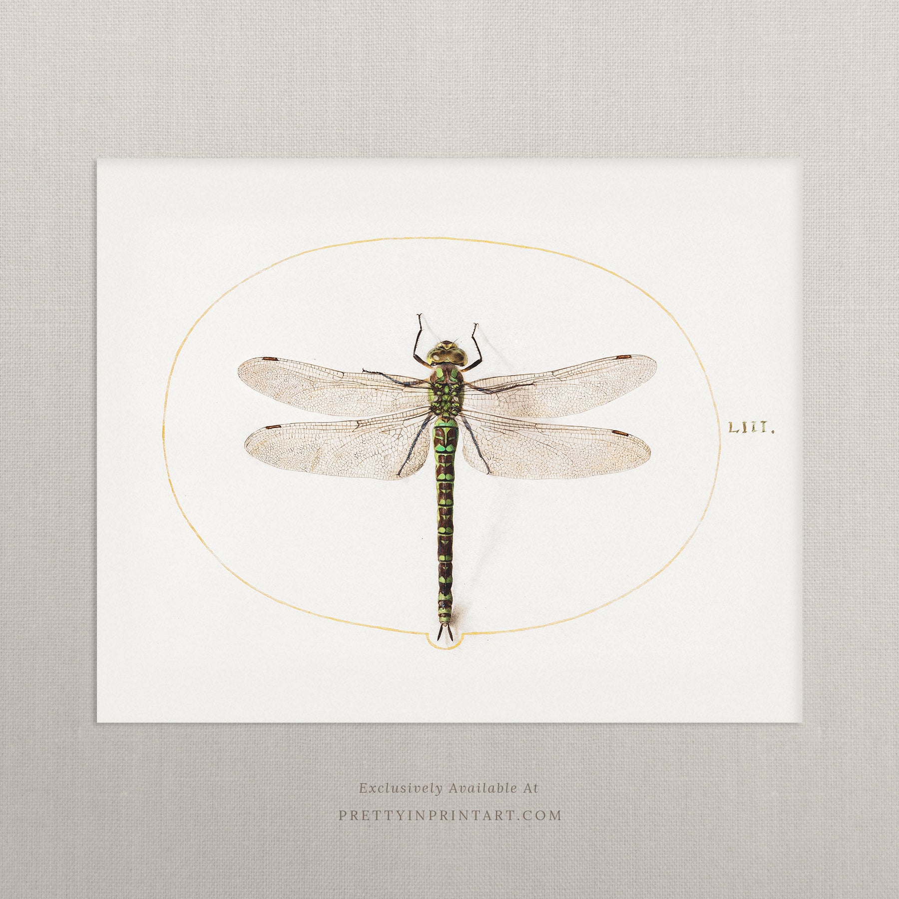 vintage-style nursery art prints featuring bugs, butterflies, beetles, and mini beasts in classic gold and wood frames for children's room decor.