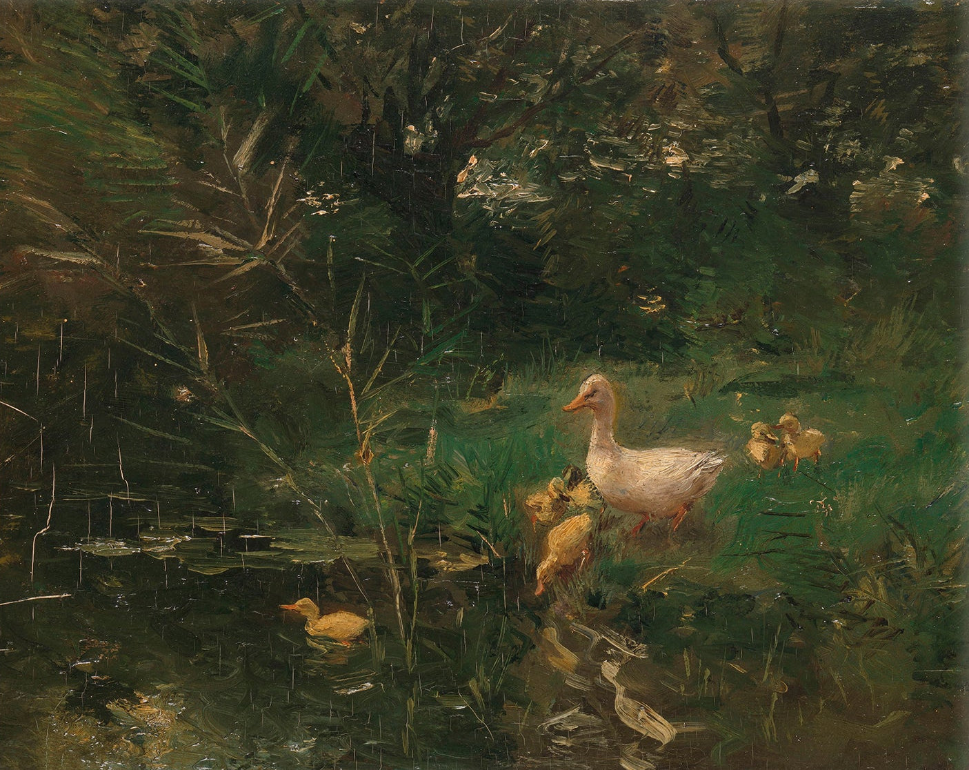 Duck & Ducklings Vintage Art 001 | Unframed