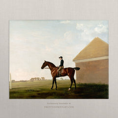 Vintage Horse Art Print – Equestrian Antique Style Wall Art, Unframed (007564)