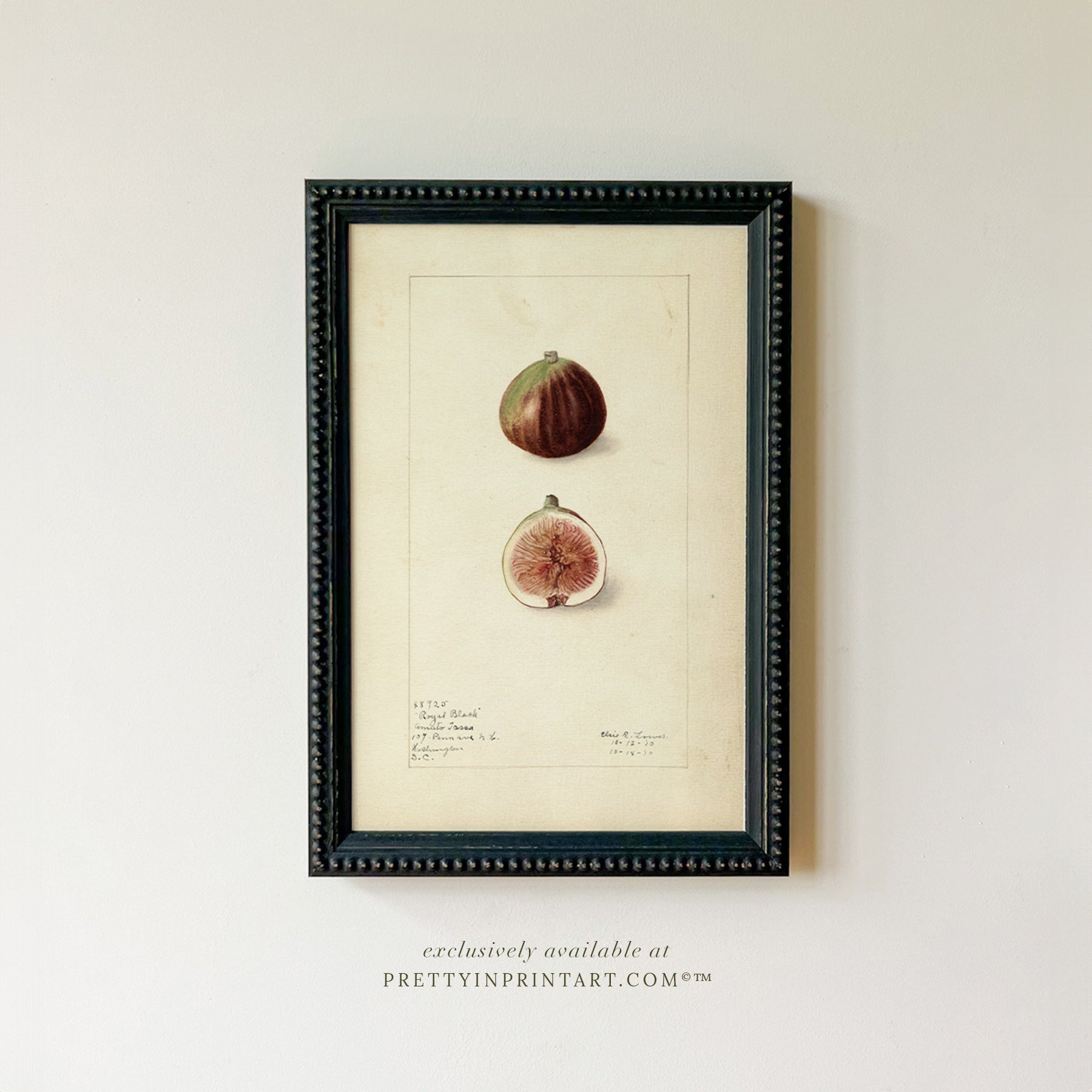 Black bobbin frame with vintage fruit botanical still life art for cottagecore, farmhouse, and traditional interiors