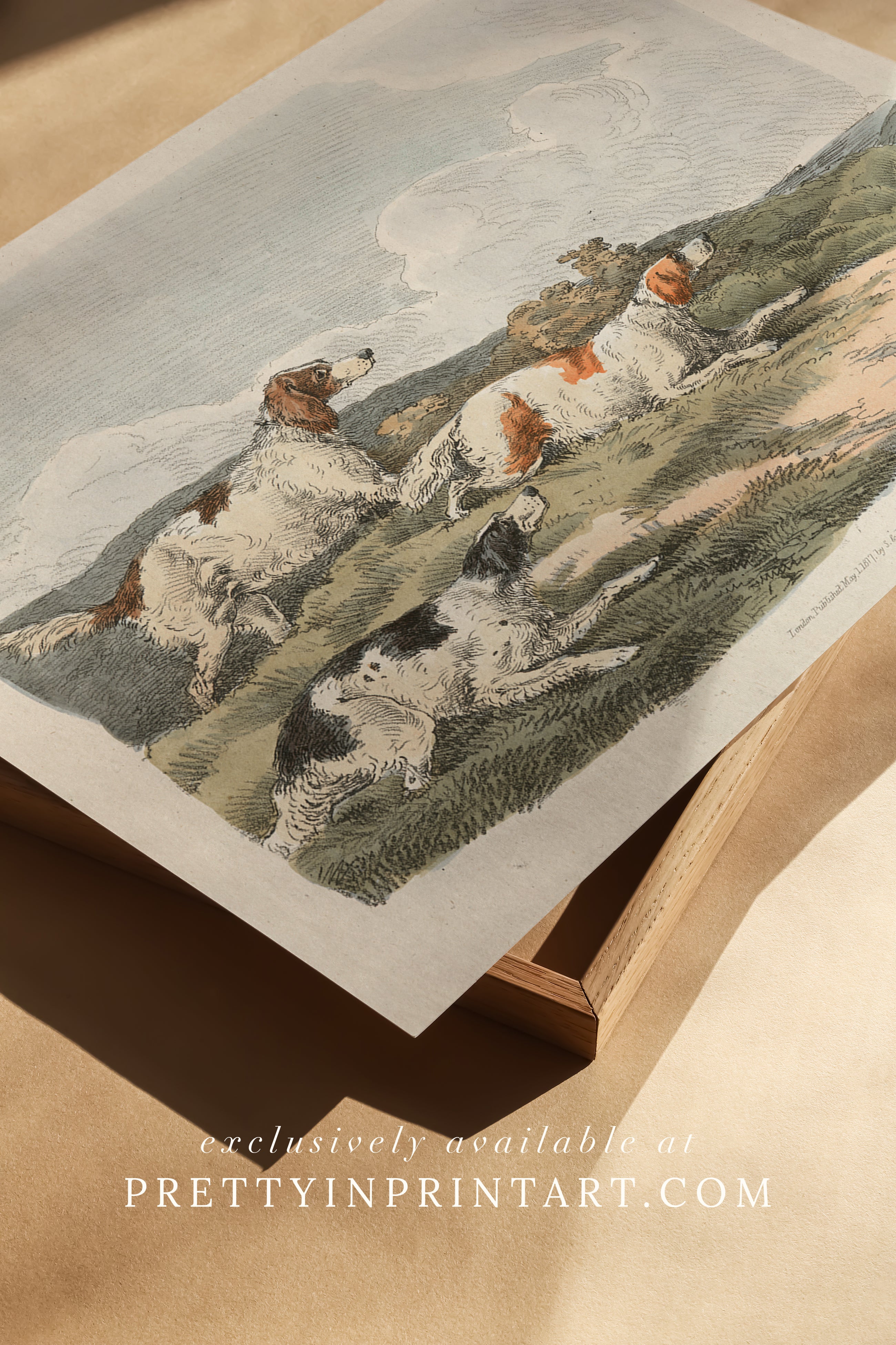 vintage-hunting-dog-wall-art-set-in-gold-frames