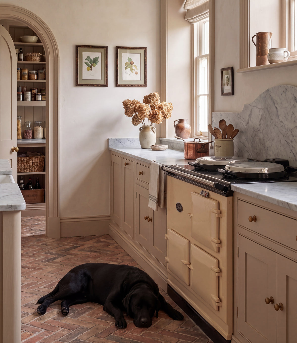 Framed vintage botanical art prints displayed on a country kitchen shelf
