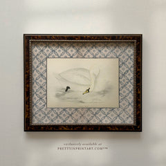 Vintage Swan Nursery Art Print – Framed in Tortoiseshell-Style Wood Frame (002, 2124)