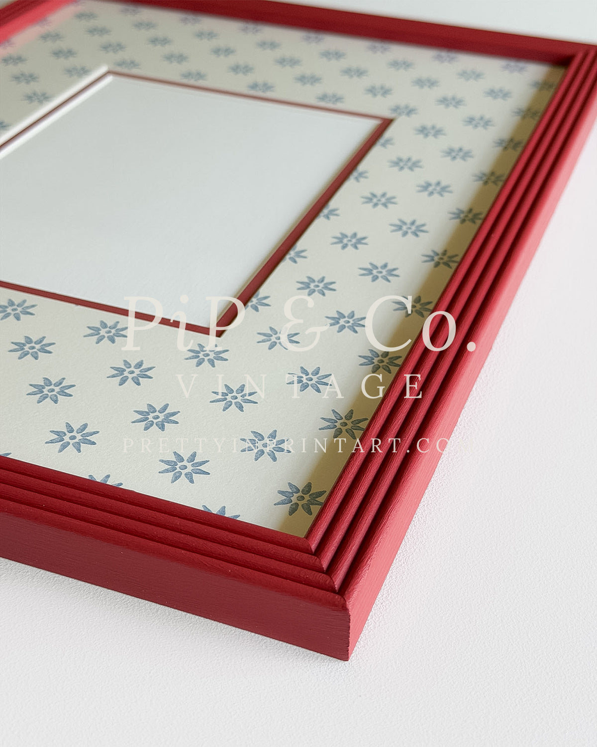 Red Hand Painted Frame | Wallpapered Mount (SW9+M18)