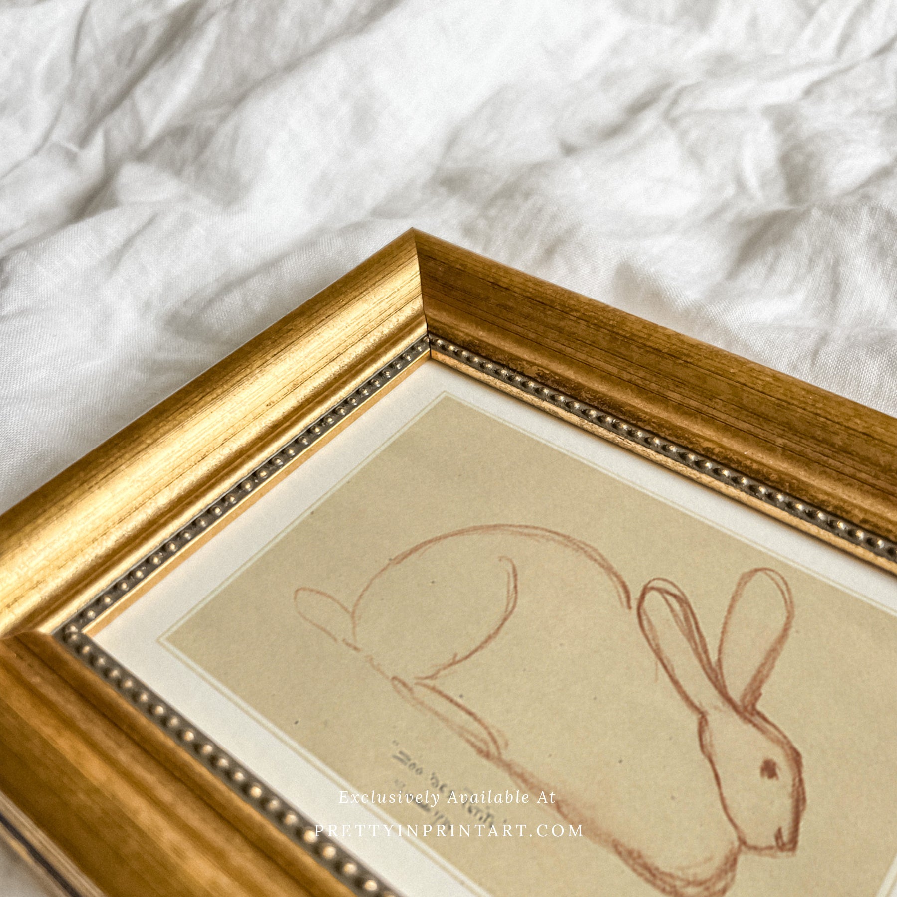 Bunny Rabbit Sketch, 00586 | Gold Frame