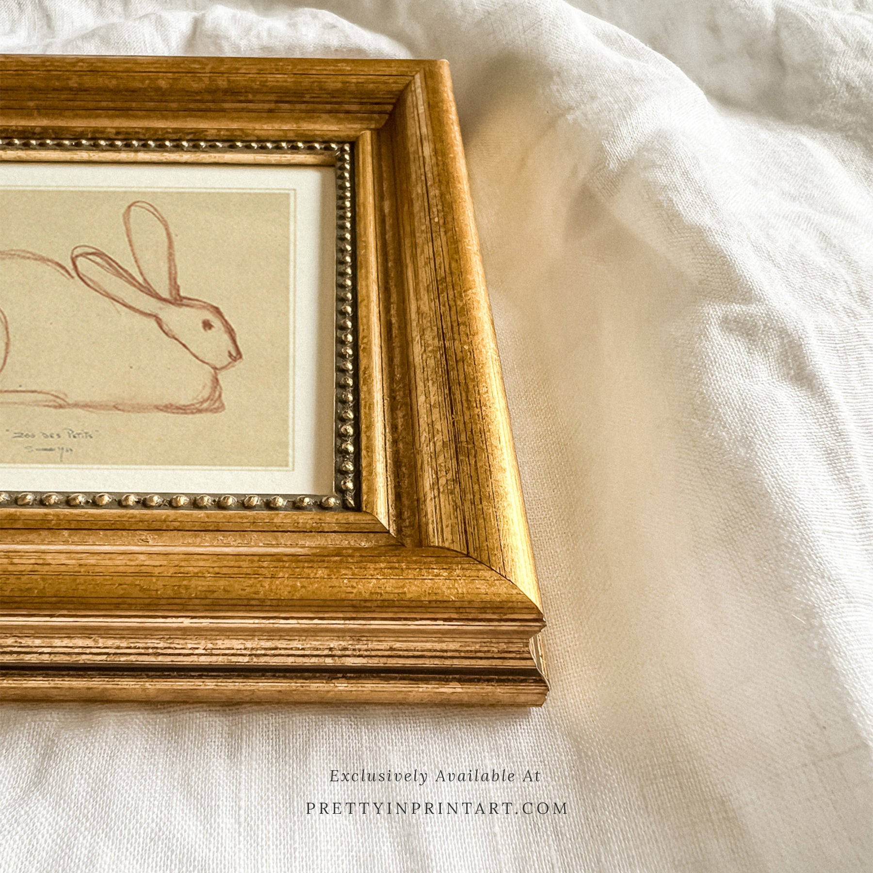Bunny Rabbit Sketch, 00586 | Gold Frame
