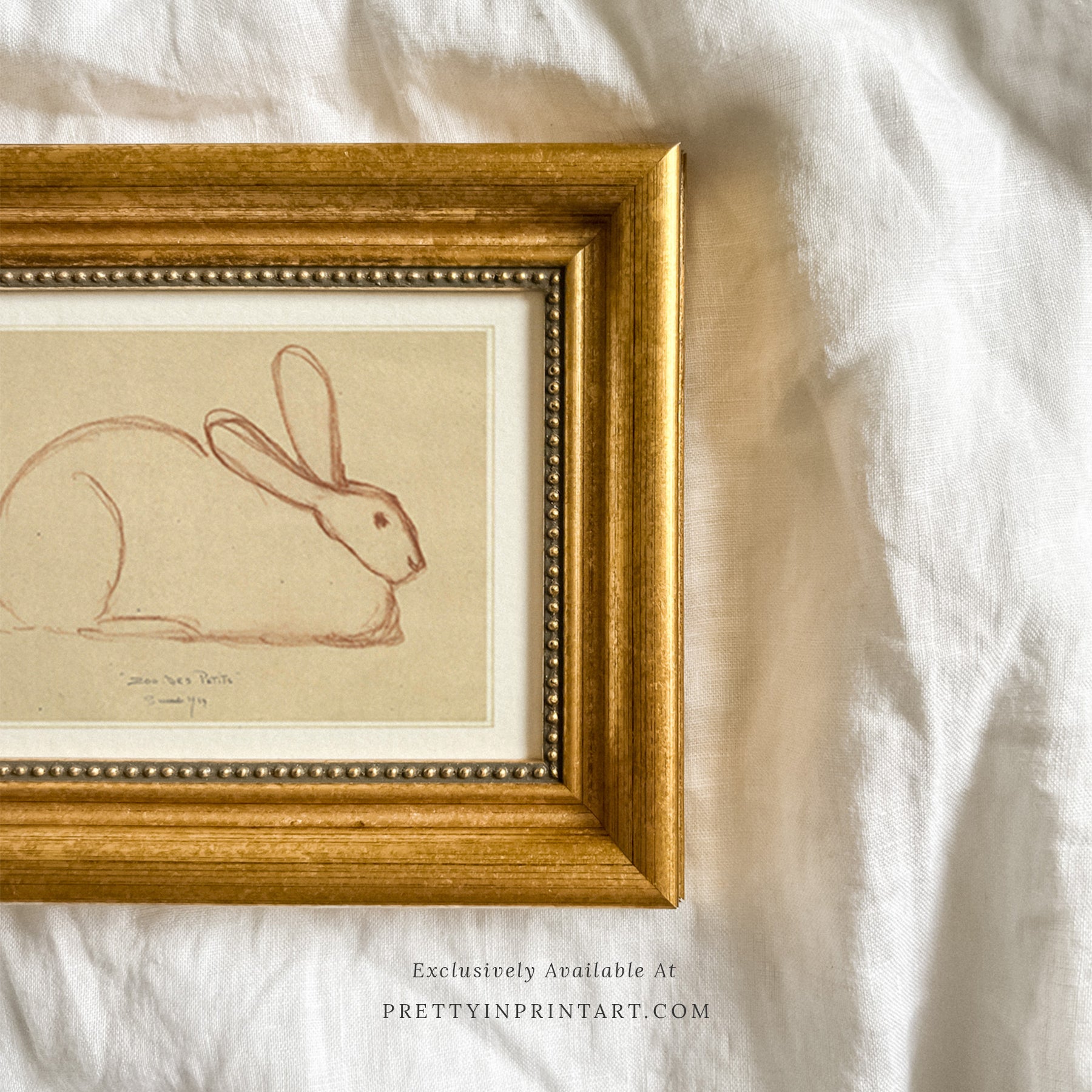Bunny Rabbit Sketch, 00586 | Gold Frame