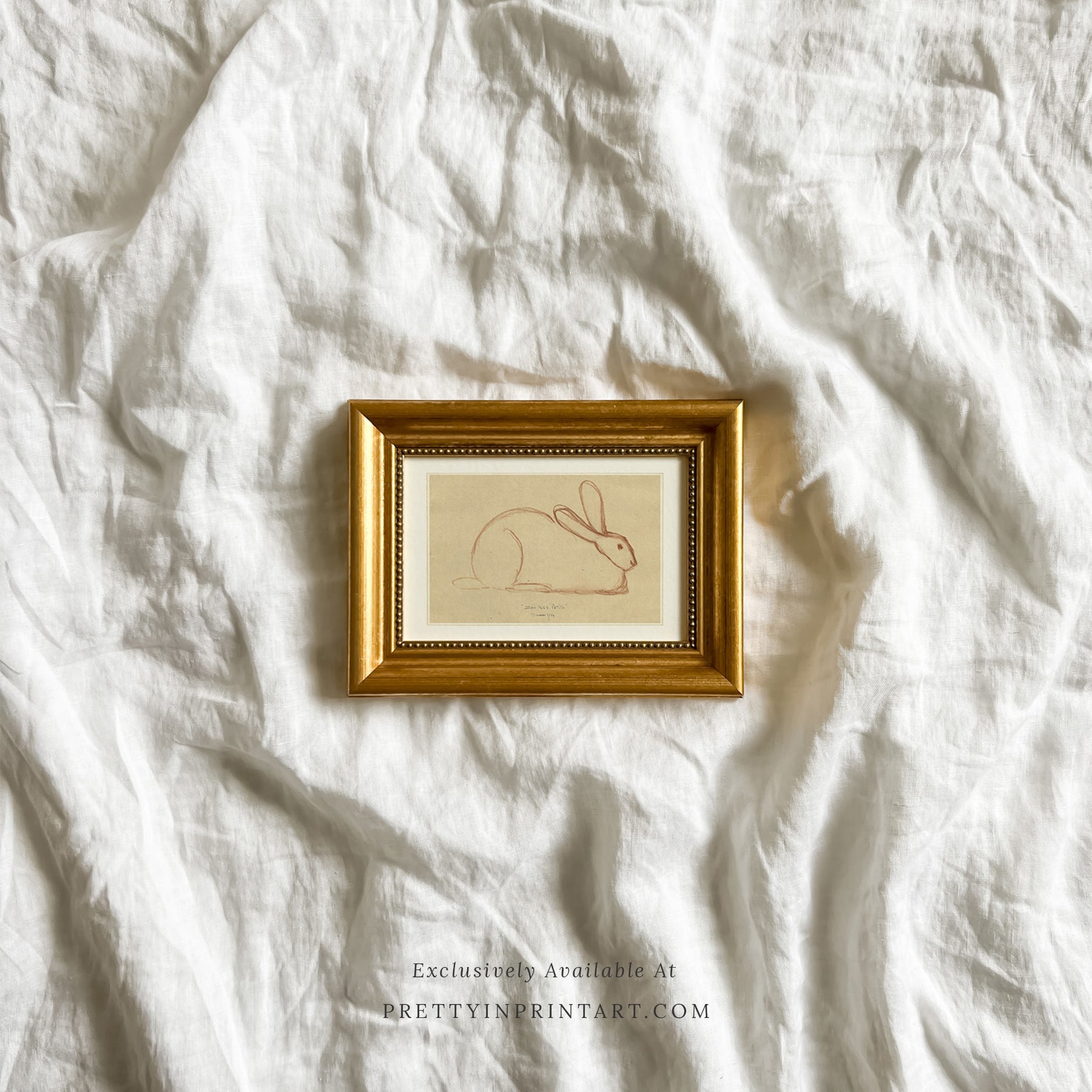 Bunny Rabbit Sketch, 00586 | Gold Frame