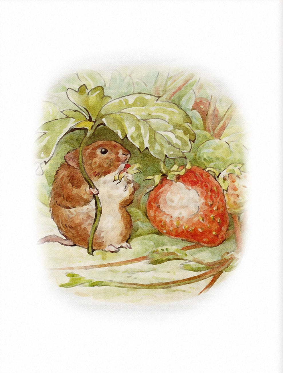 Beatrix Potter Nursery Art, Mrs Tittlemouse | Unframed