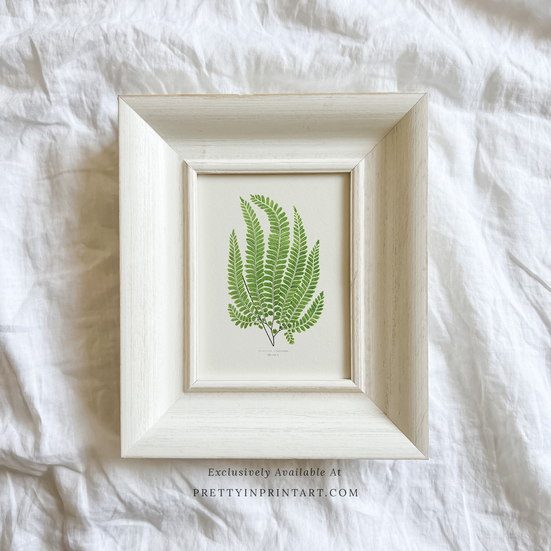 SOLD OUT — White Frame | 10467 (UK ONLY)