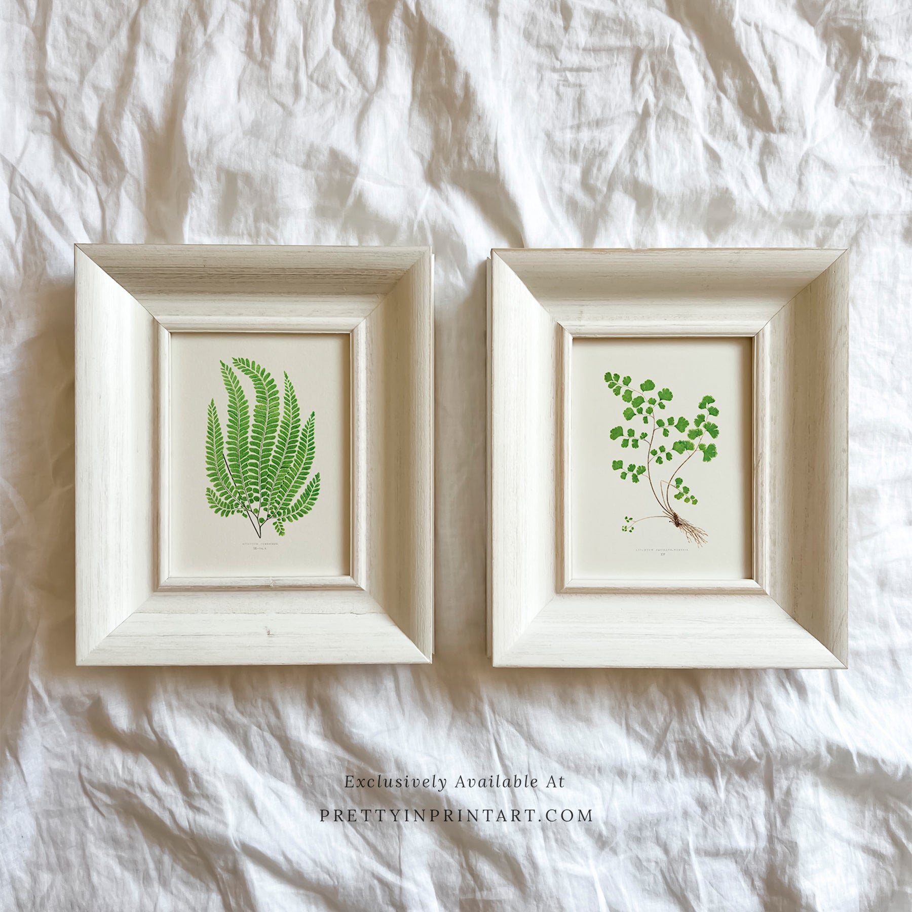 SOLD OUT — White Frame | 10468 (UK ONLY)