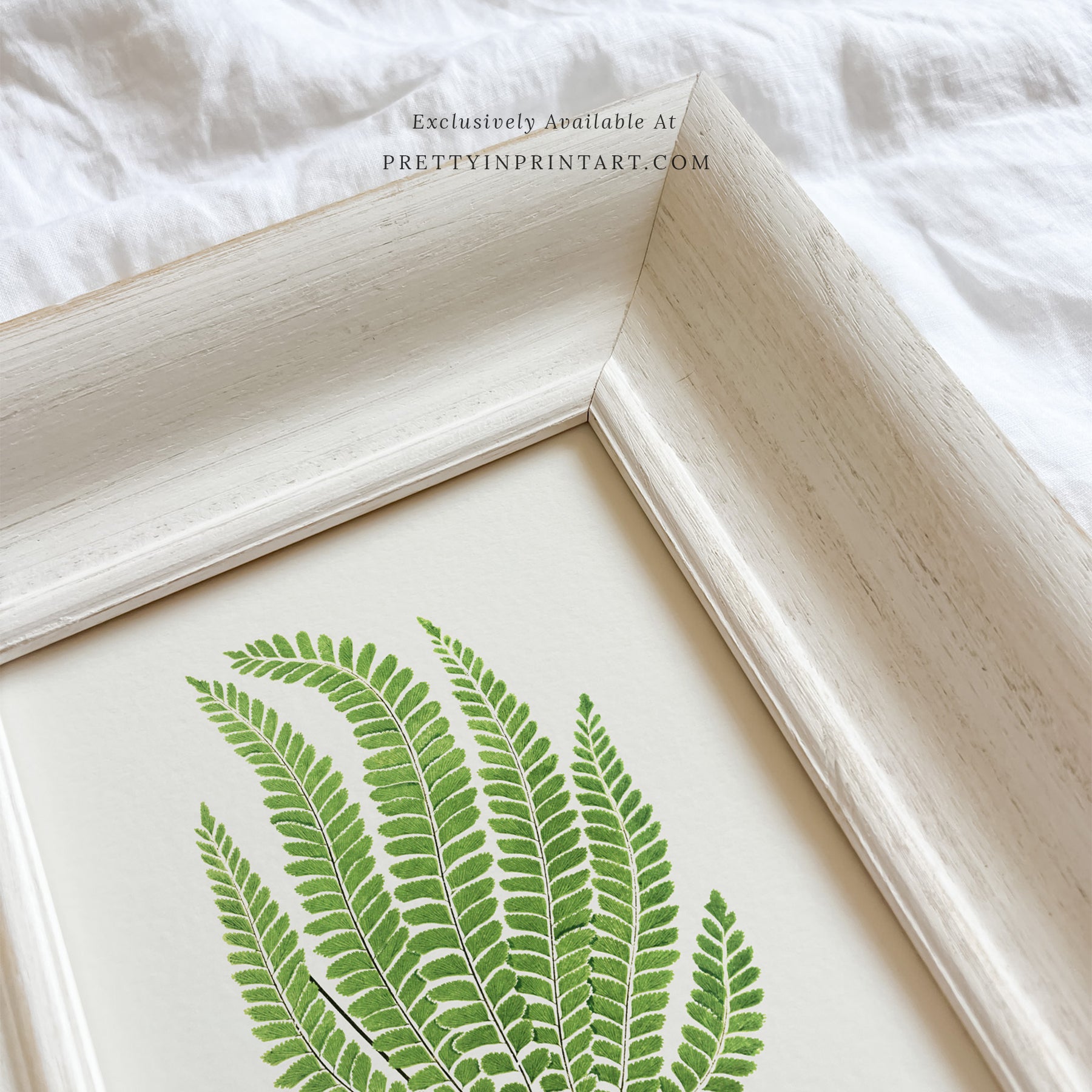 SOLD OUT — White Frame | 10467 (UK ONLY)