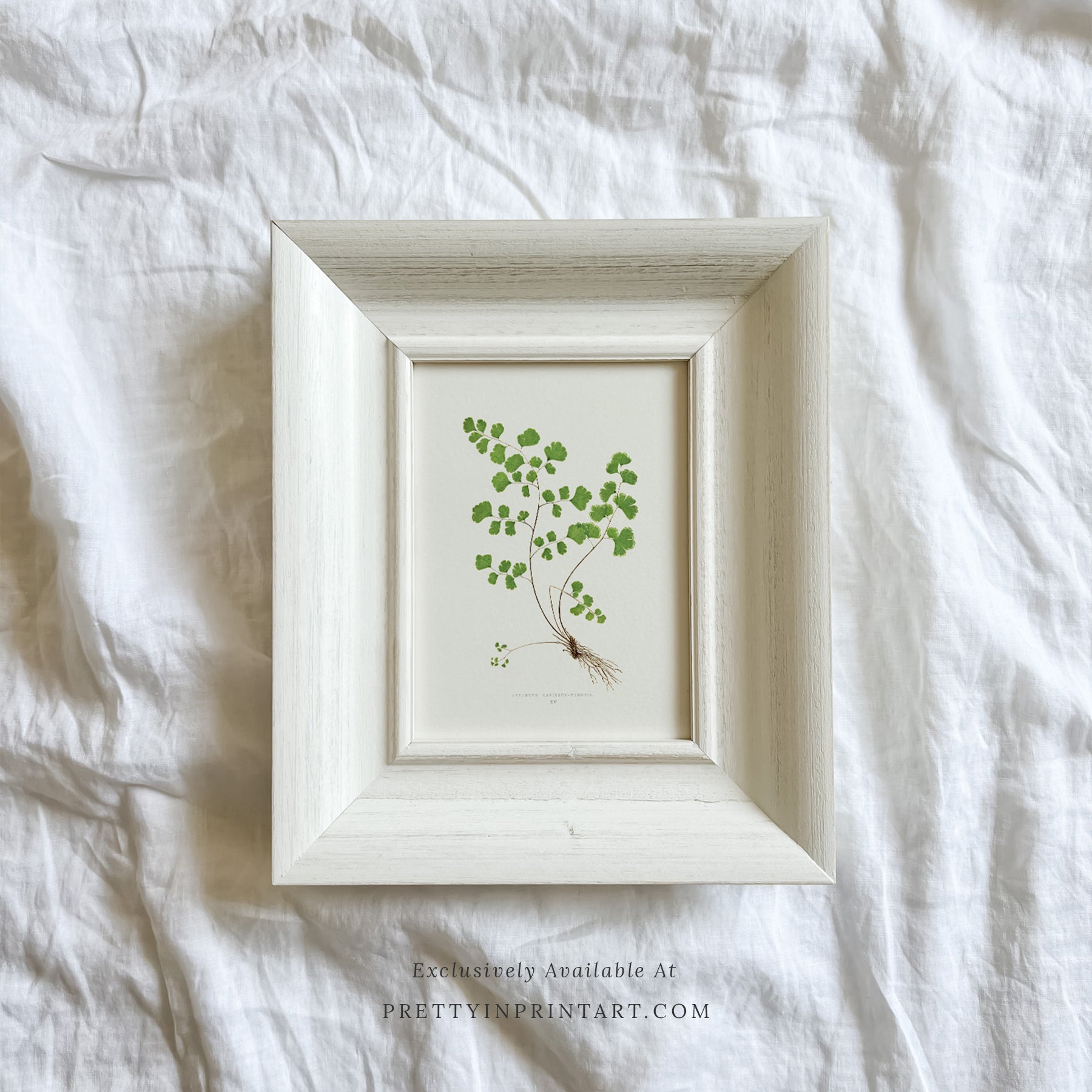 SOLD OUT — White Frame | 10468 (UK ONLY)
