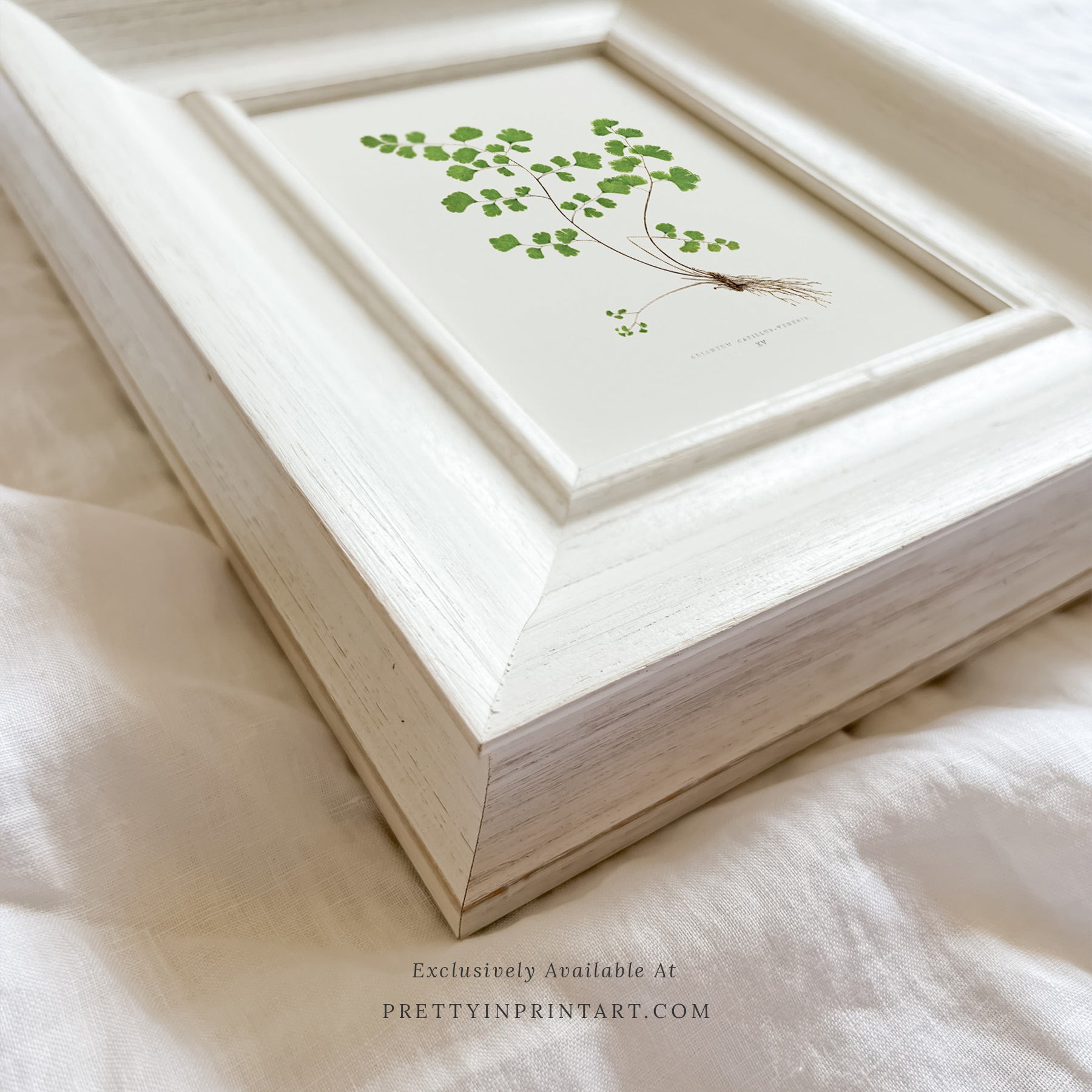 SOLD OUT — White Frame | 10468 (UK ONLY)