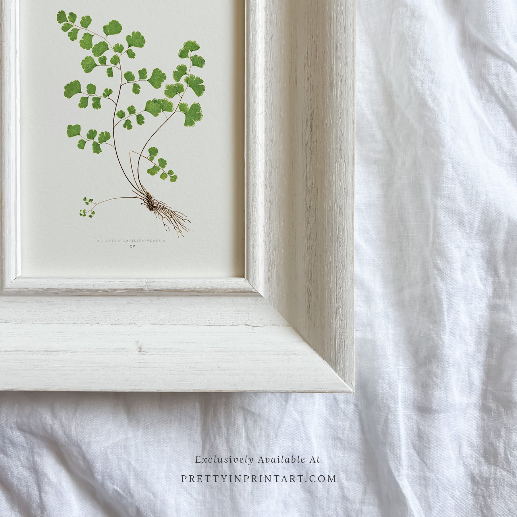 SOLD OUT — White Frame | 10468 (UK ONLY)