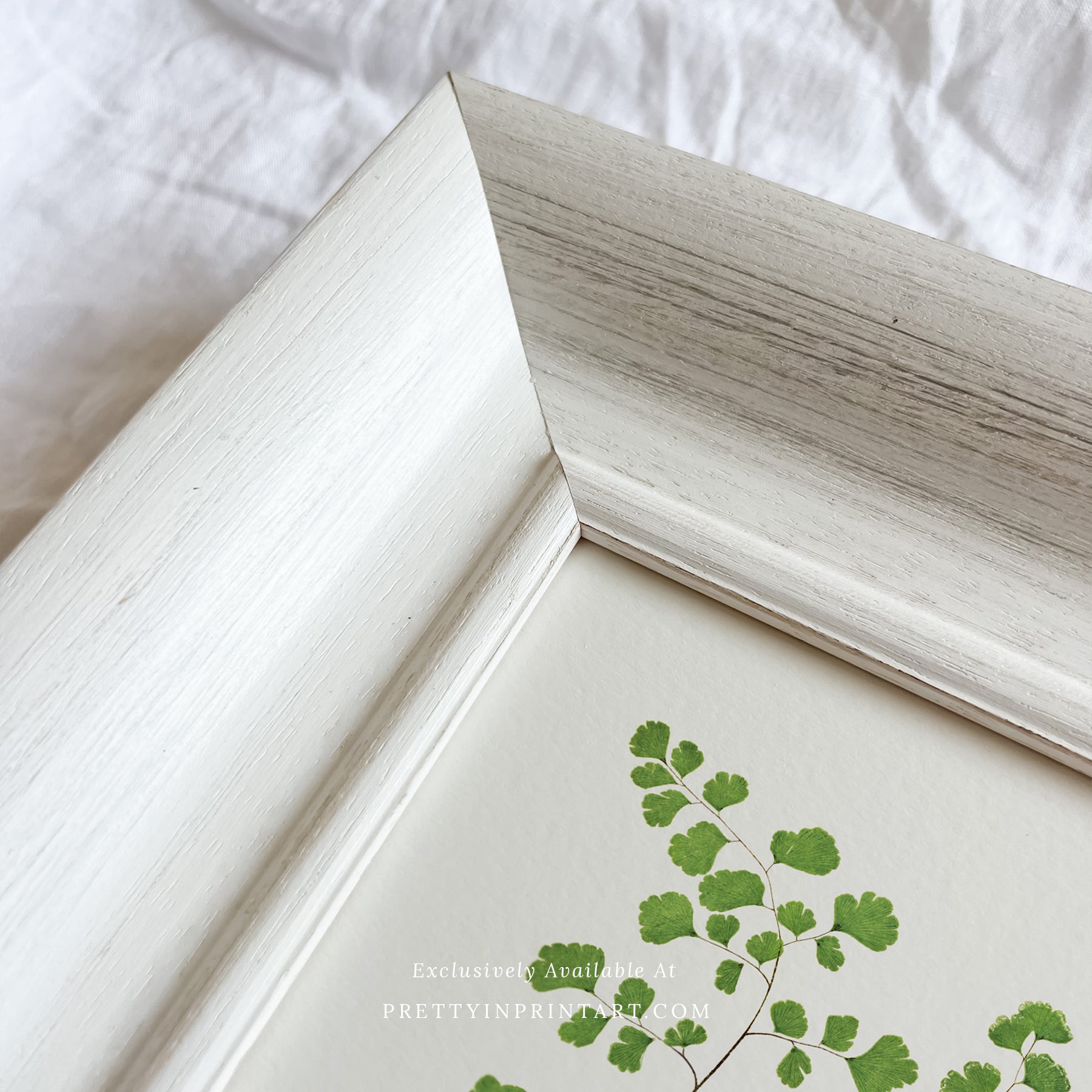 SOLD OUT — White Frame | 10468 (UK ONLY)