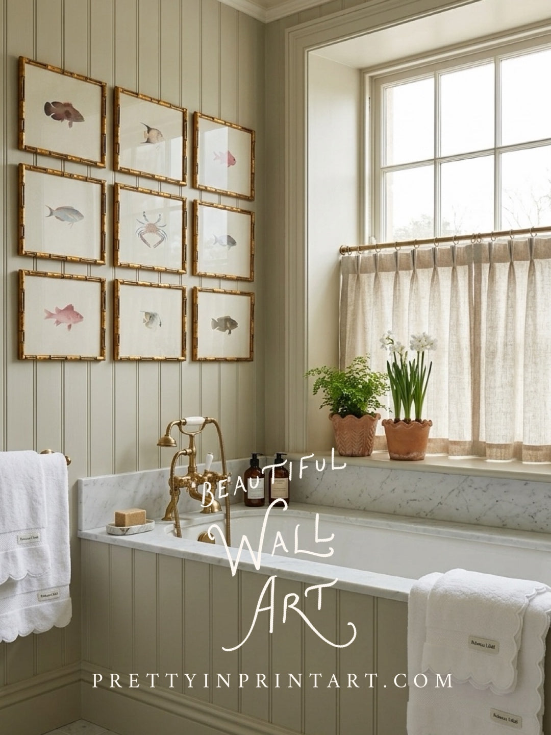 Set of 9 Vintage Fish Art Print (0070) in Gold Bamboo Frame (0178)