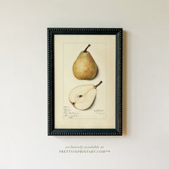 Vintage Pear Fruit Art Print – Framed in Black Bobbin-Style Frame, Antique Botanical Still Life Wall Art (001)