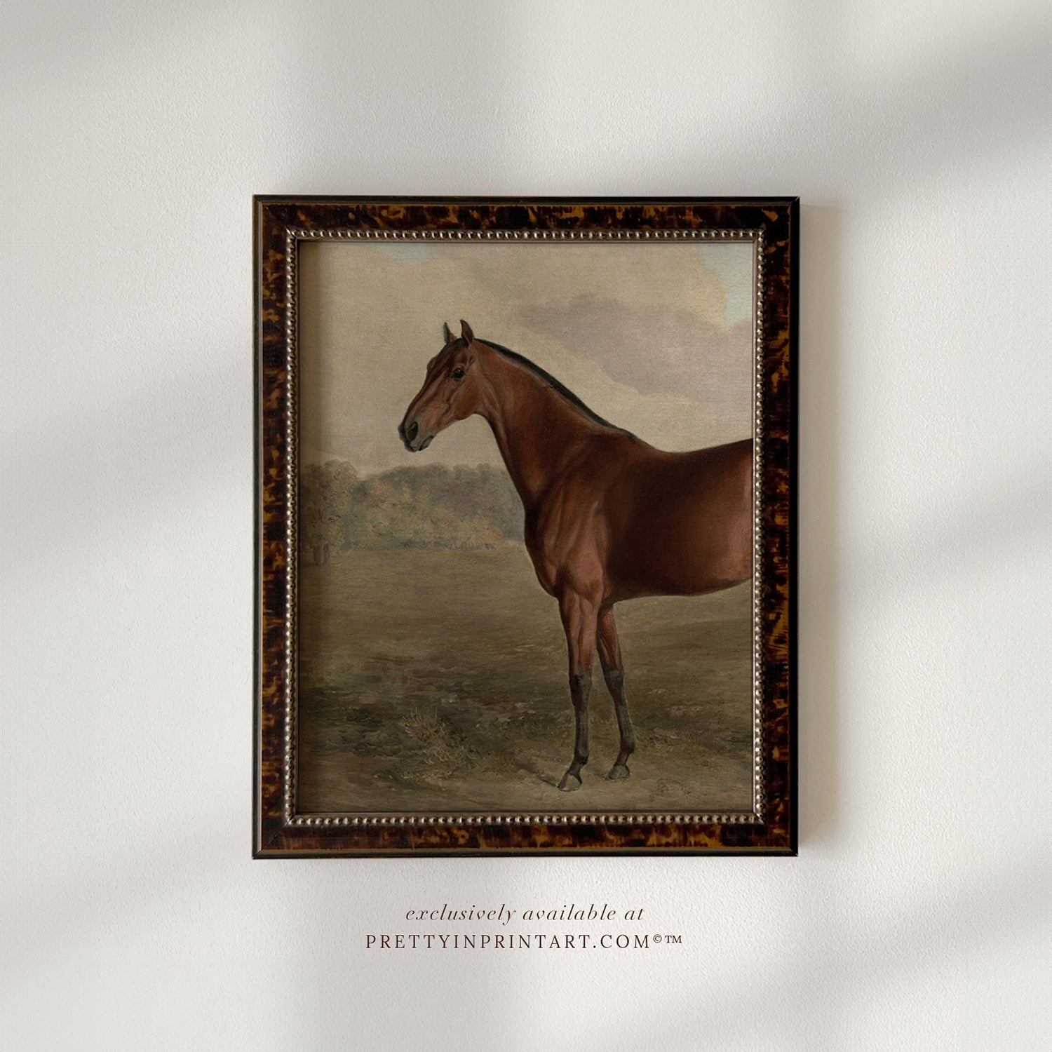 Framed vintage horse print.