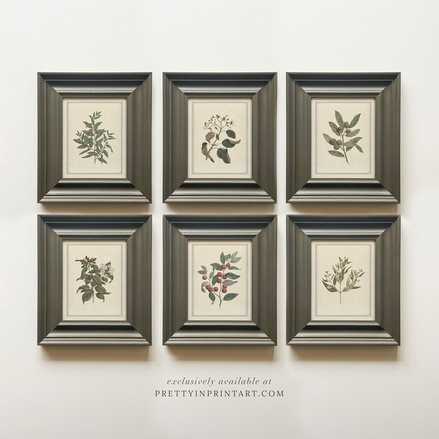 Framed vintage plant art.