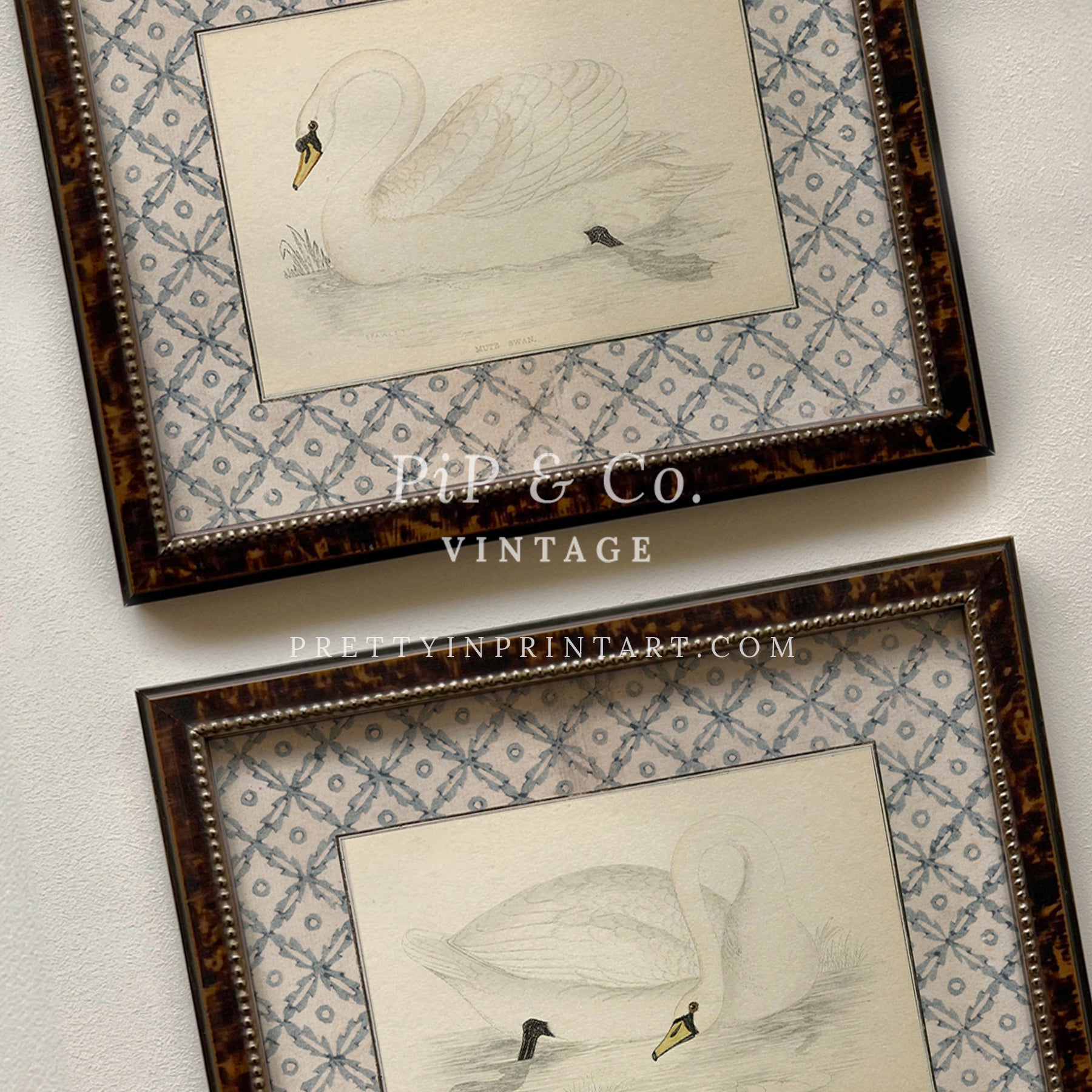 framed-vintage-swan-art-print-in-antique-style-tortoise-frame-giclee-nursery-wall-decor-whimsical-baby-room