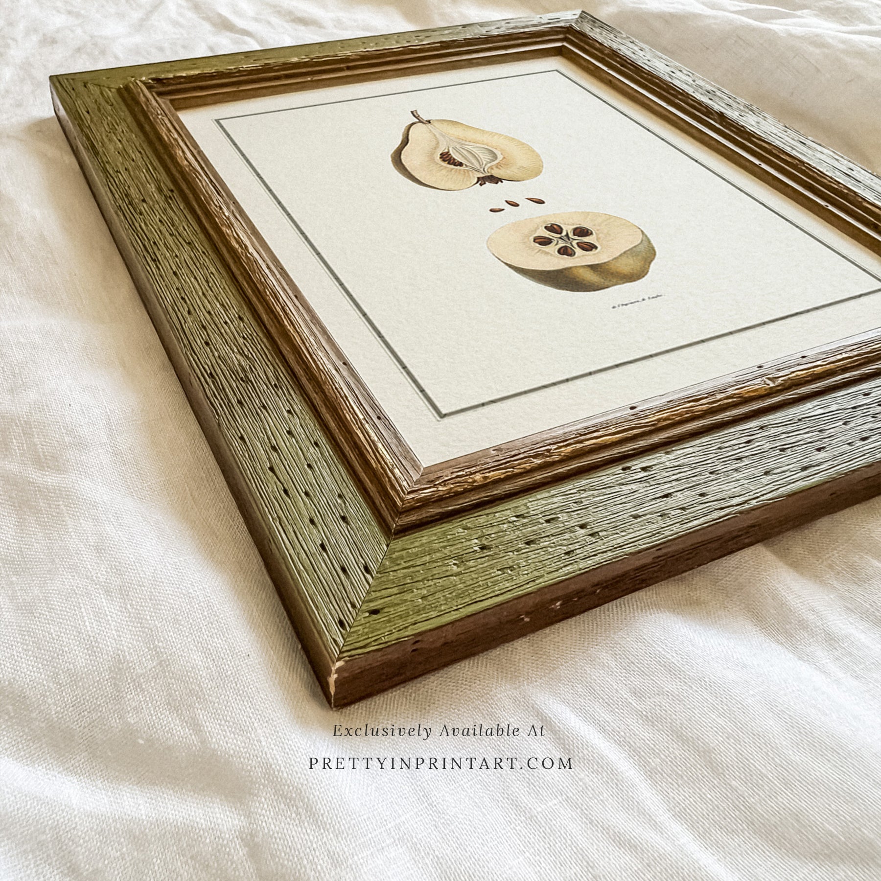 SOLD OUT — Green Vintage Frame | 10478 (UK ONLY)