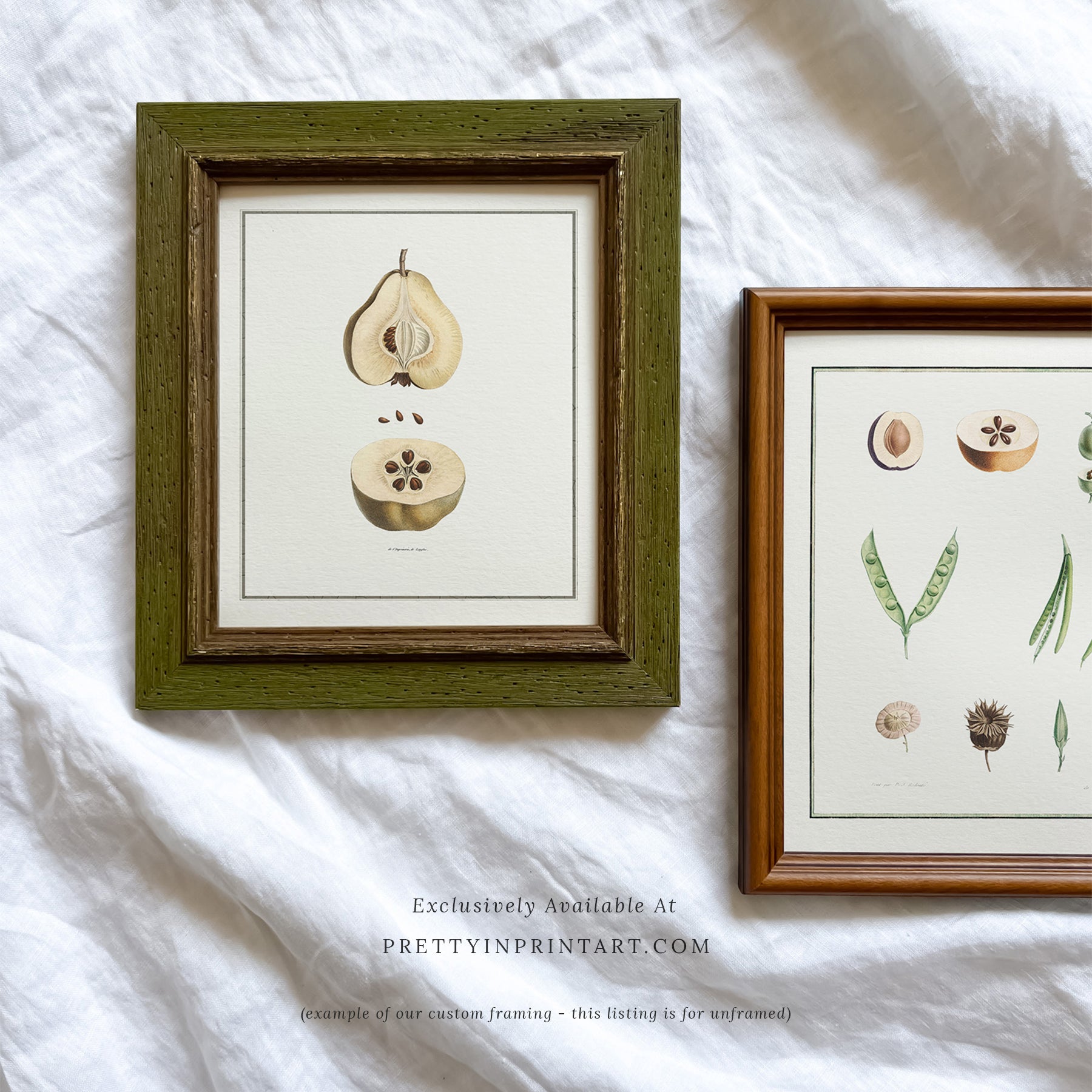 Pear, Still Life Art 00730 |  Unframed