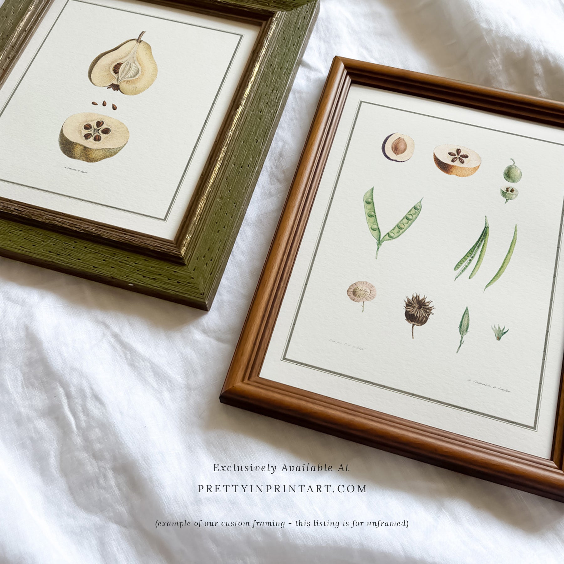 Pear, Still Life Art 00730 |  Unframed