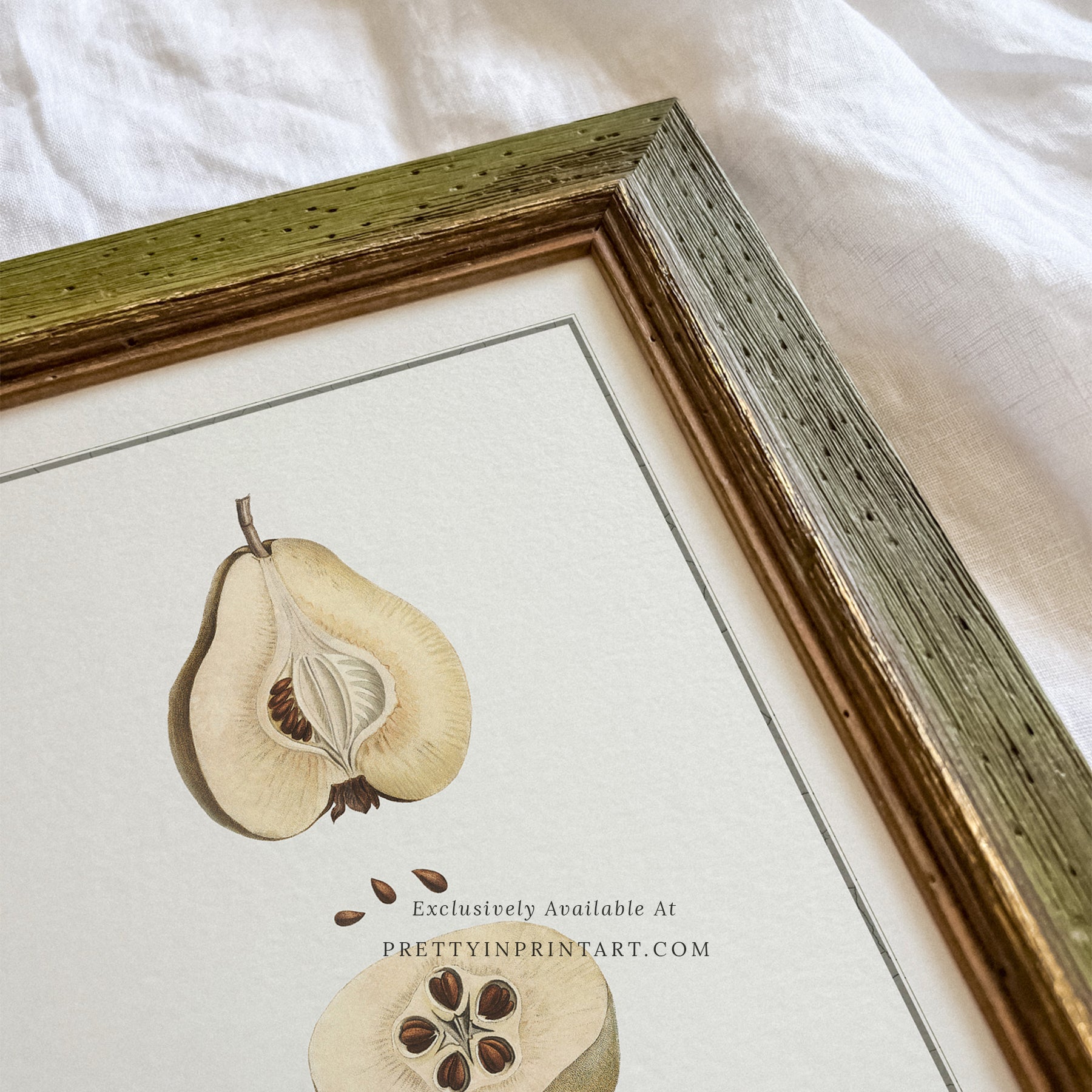SOLD OUT — Green Vintage Frame | 10478 (UK ONLY)