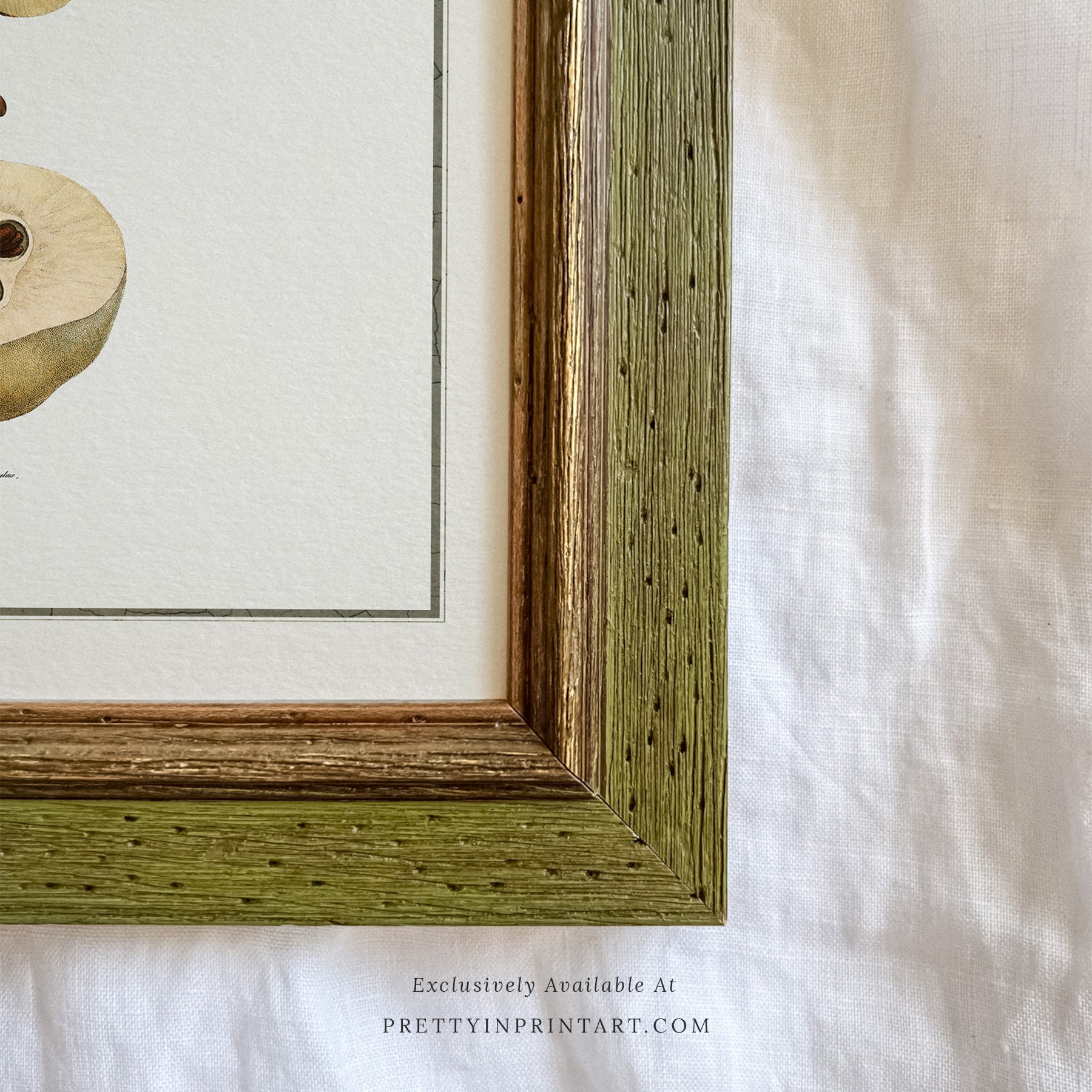 SOLD OUT — Green Vintage Frame | 10478 (UK ONLY)