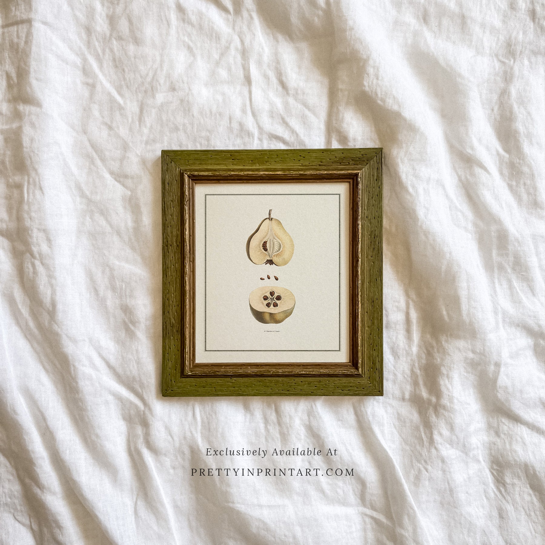 SOLD OUT — Green Vintage Frame | 10478 (UK ONLY)