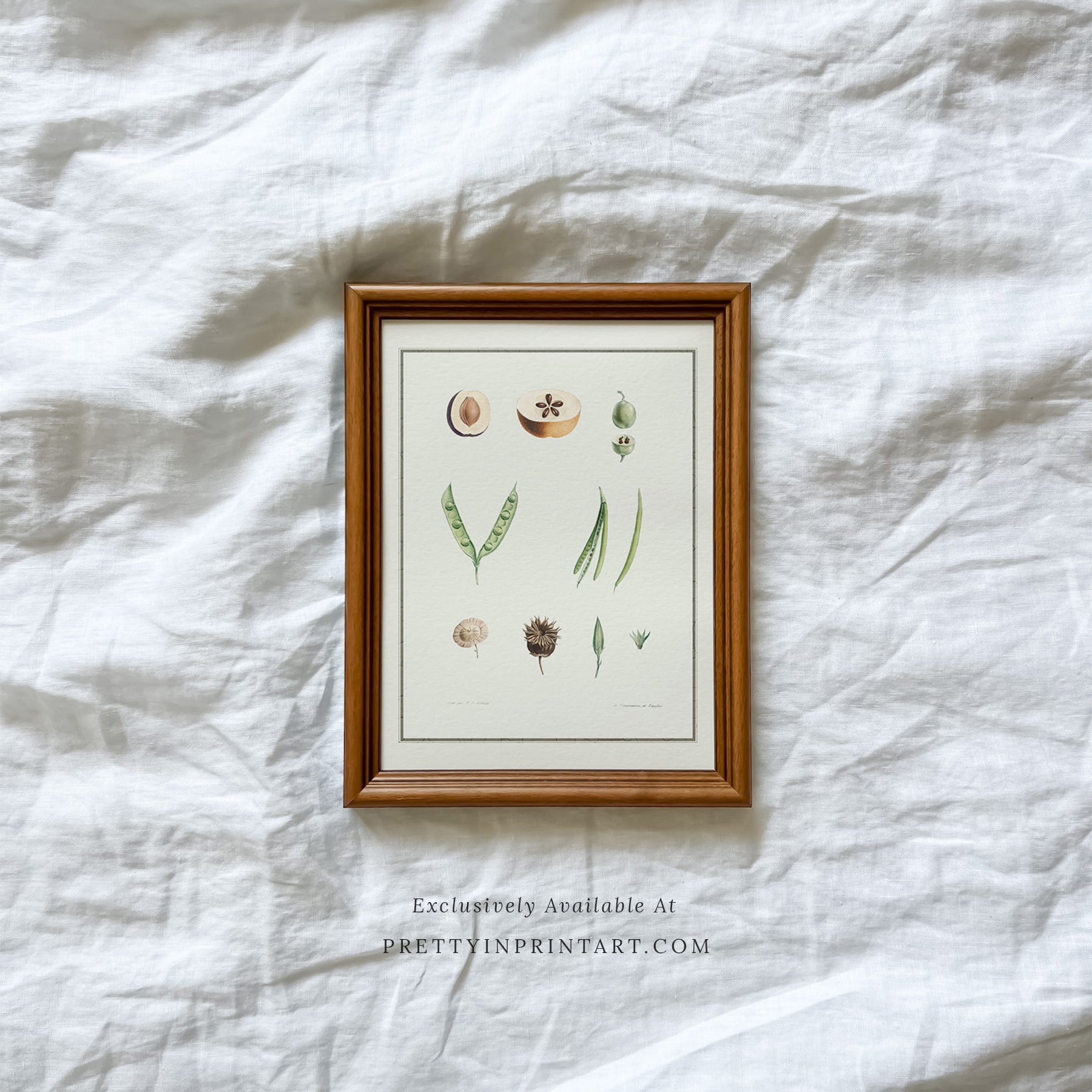 SOLD OUT — Brown Vintage-Style Frame | 10471 (UK ONLY)