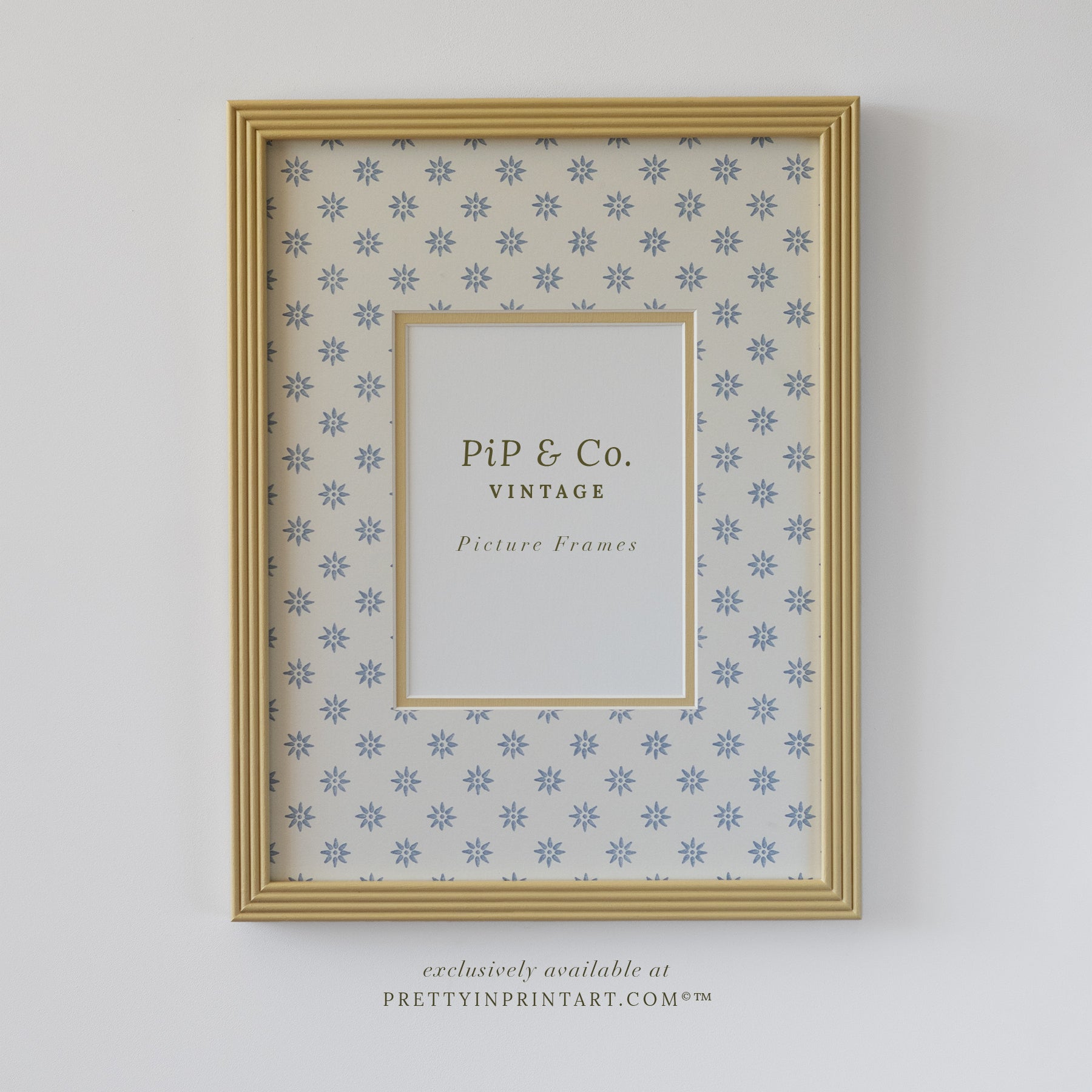 Yellow Hand Painted Frame | Wallpapered Mount (SW9+M18)