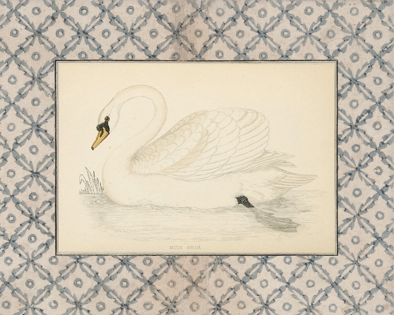 pretty-vintage-swan-art-print-for-whimsical-nursery-gender-neutral-antique-style-wall-art-giclee-unframed