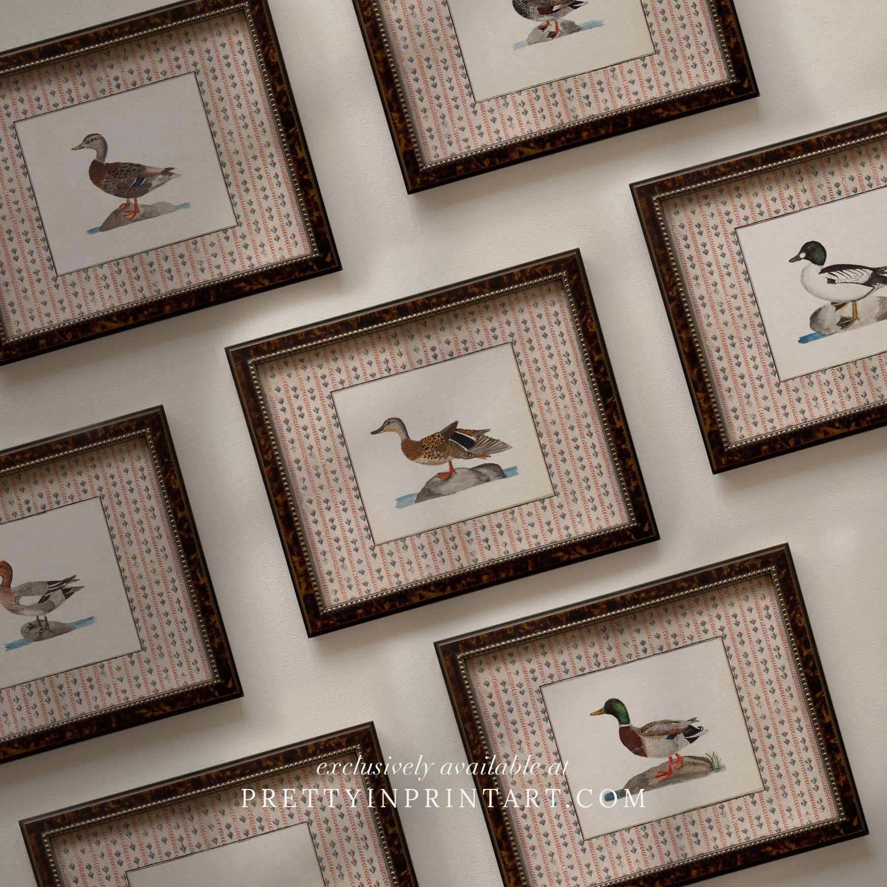 Vintage Duck Art 003 (BRN-TOR-2124)