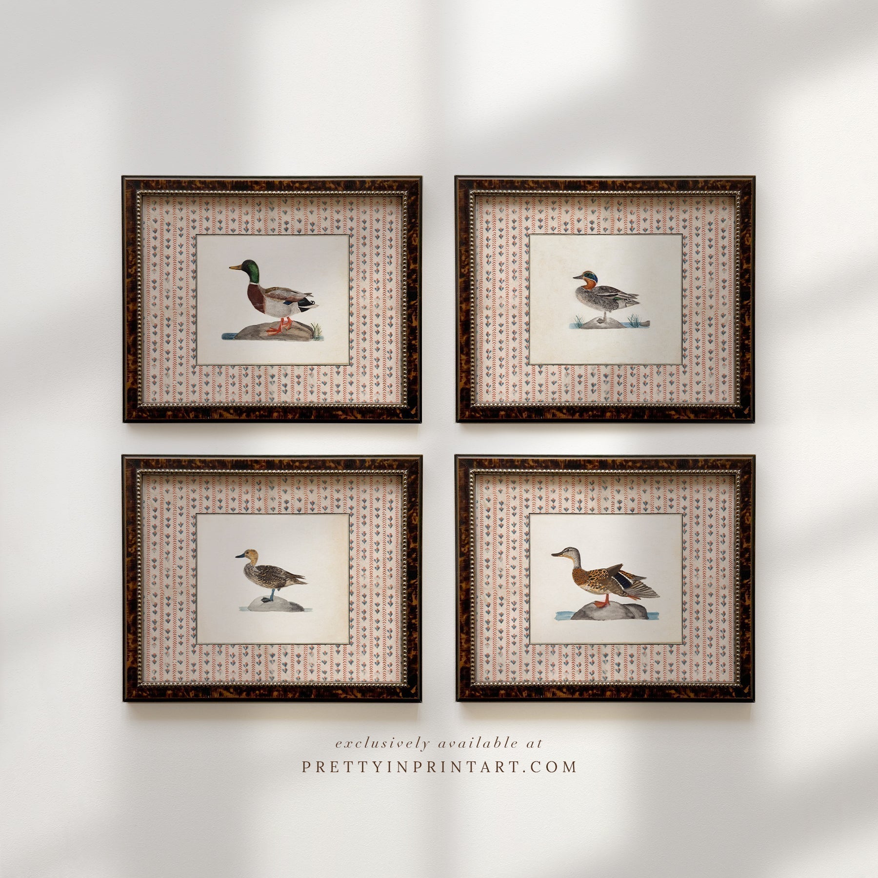 Vintage-style art prints featuring ducks, geese, swans, framed in classic gold or wood frames, perfect for traditional or country-themed vintage nursery, or any room in the home.