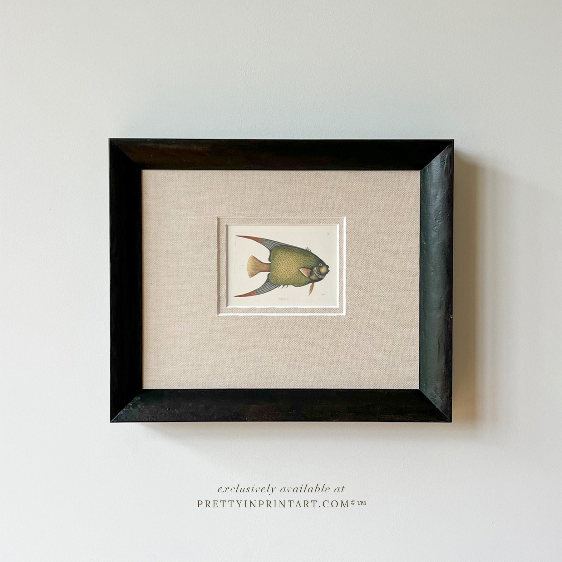 Vintage inspired picture frames for gallery wall ideas and classic antique style interiors